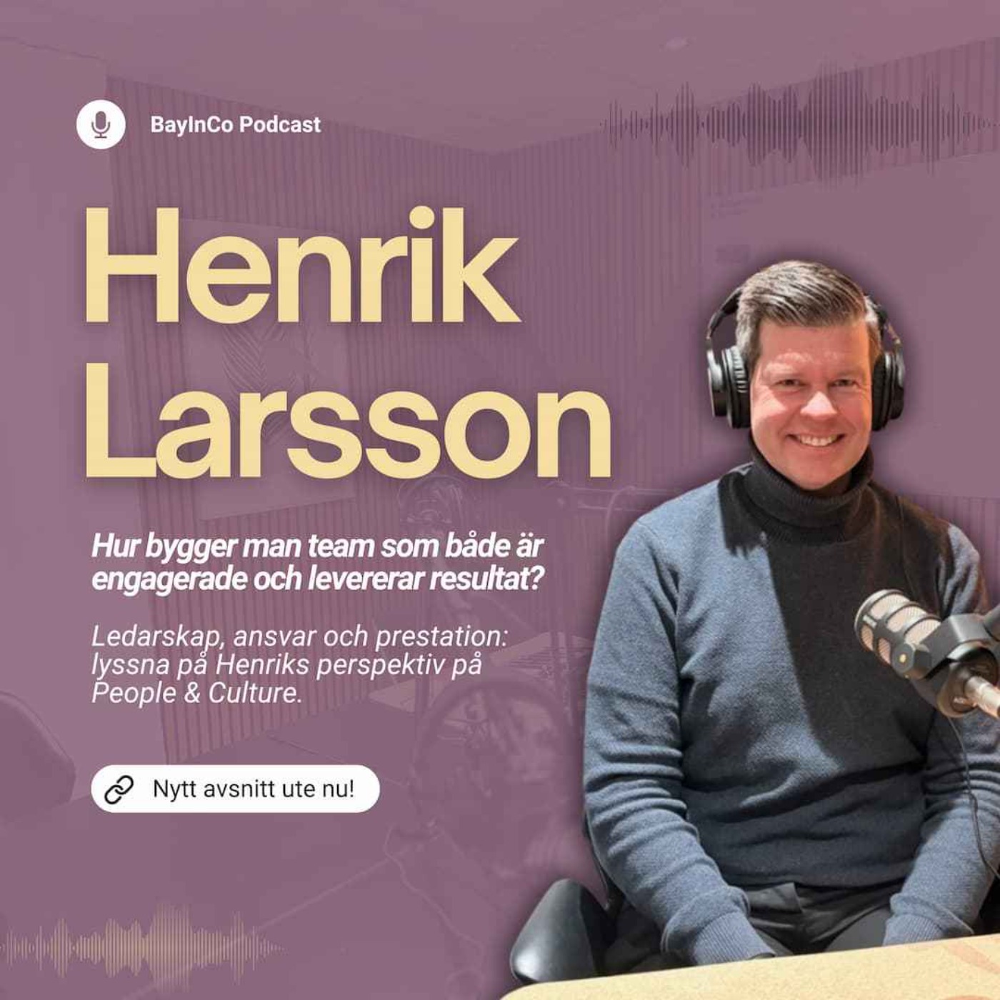 BayInCo podden