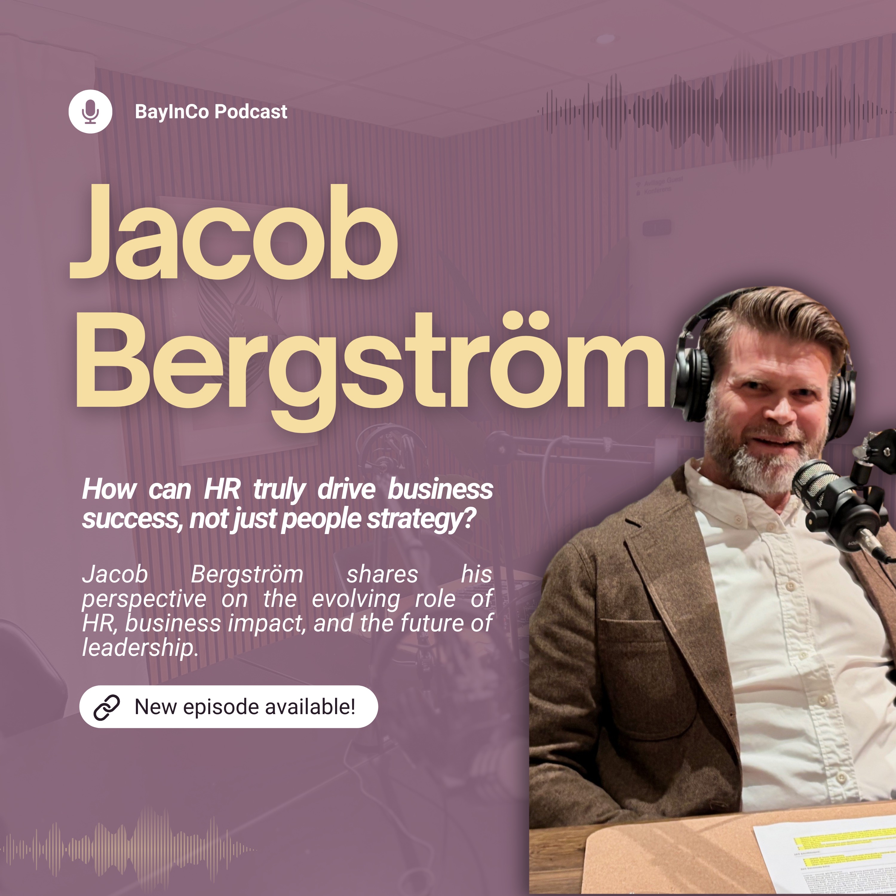 BayInCo podden