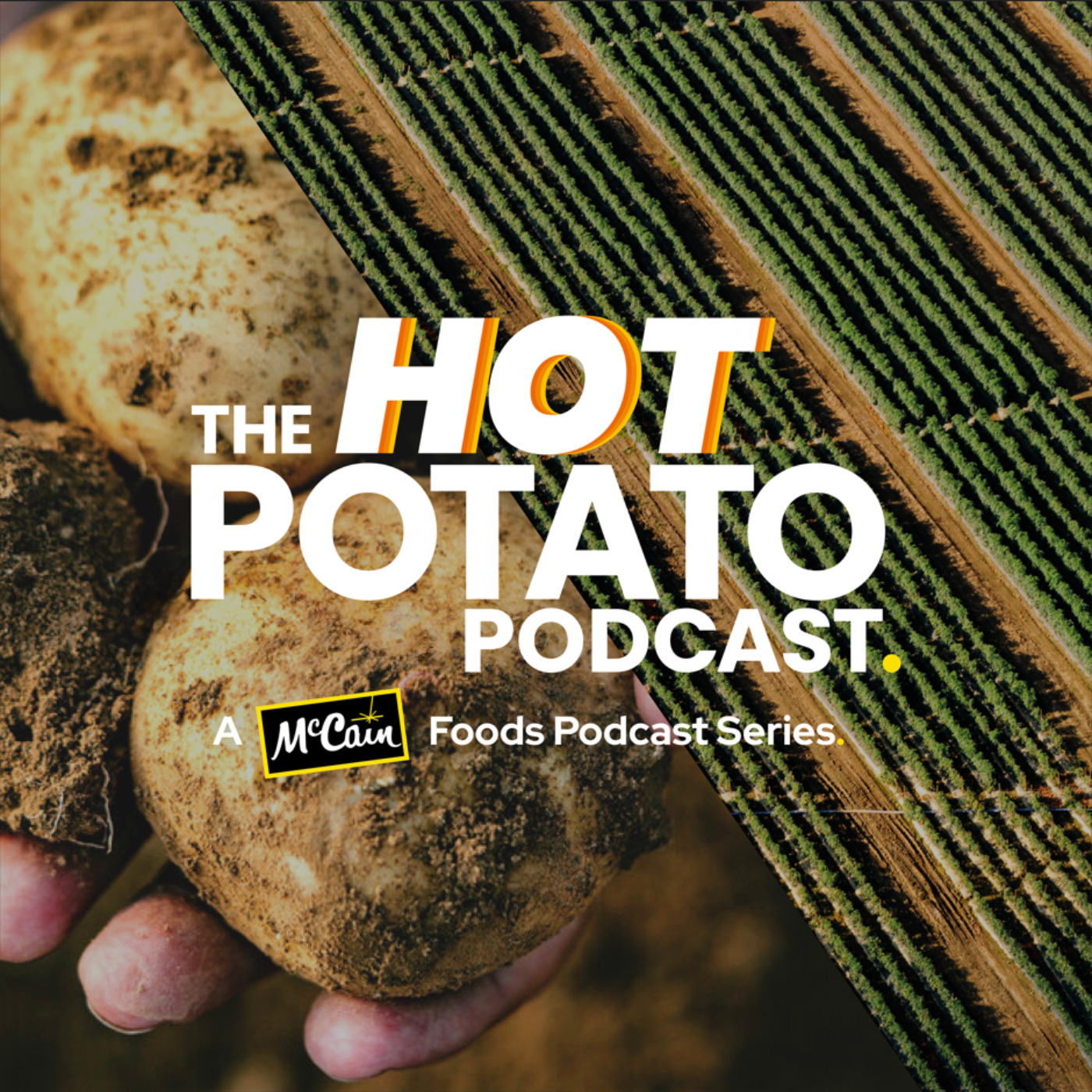 cover art for Welcome to The Hot Potato Podcast
