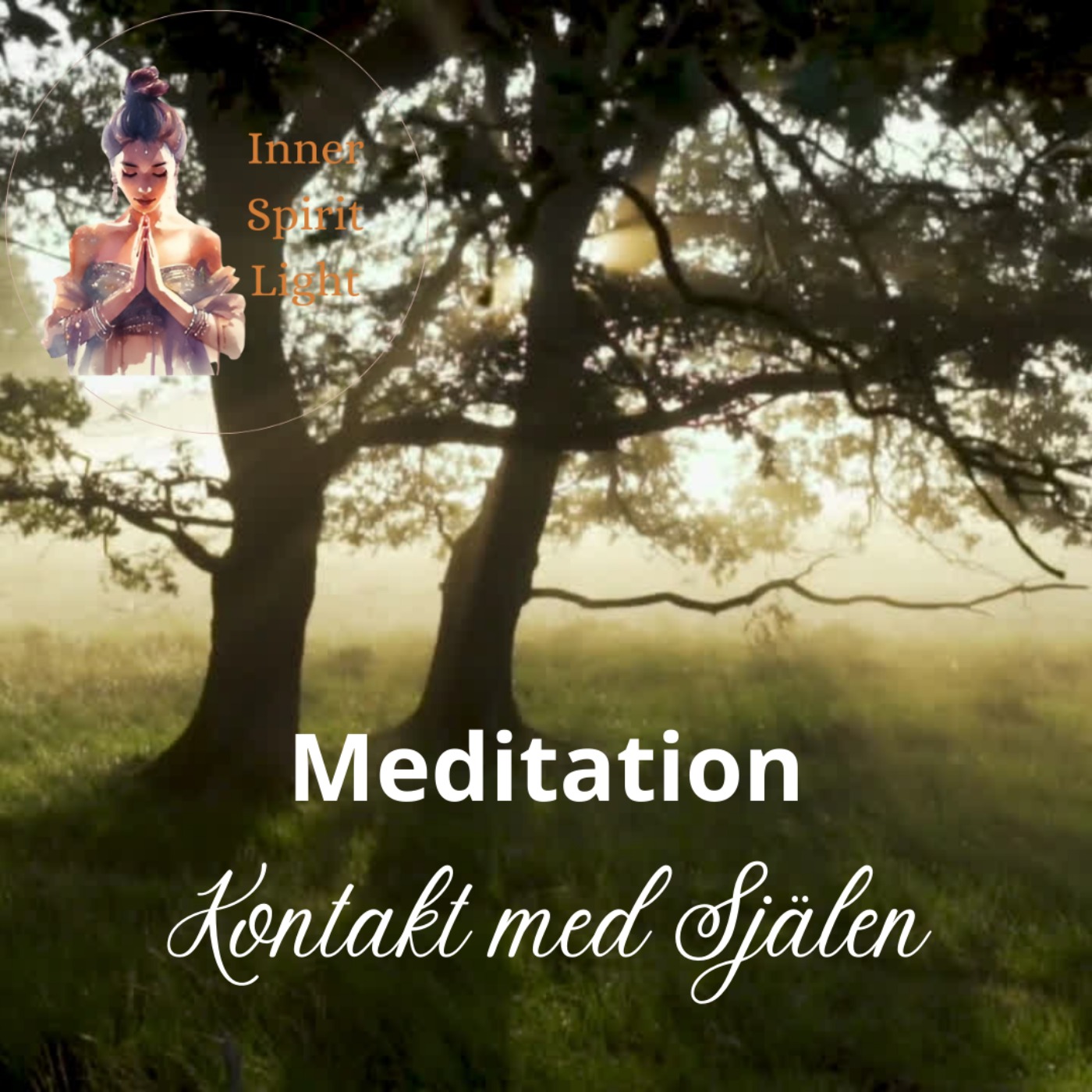 cover art for Meditation - Kontakt med Själen