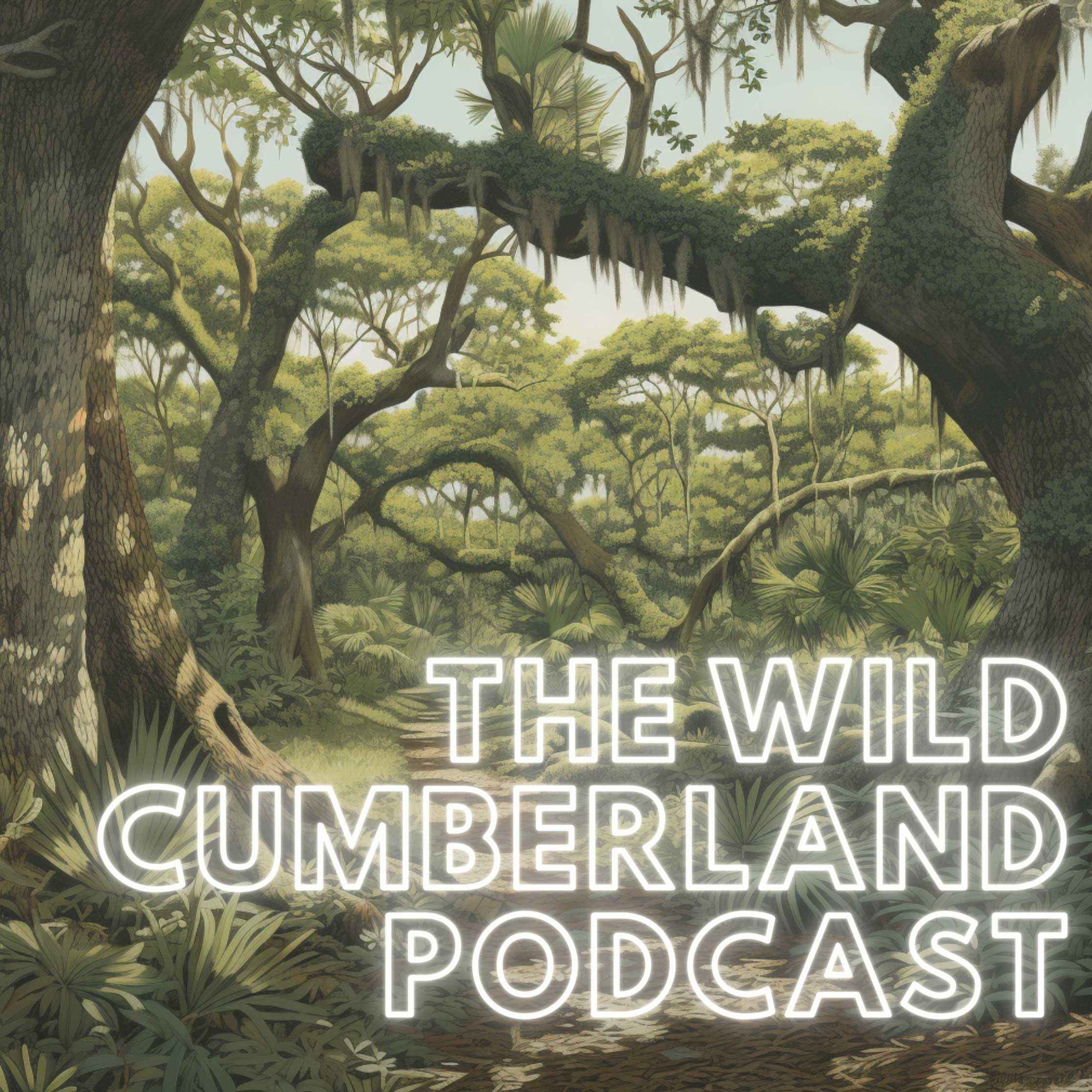 The Wild Cumberland Podcast