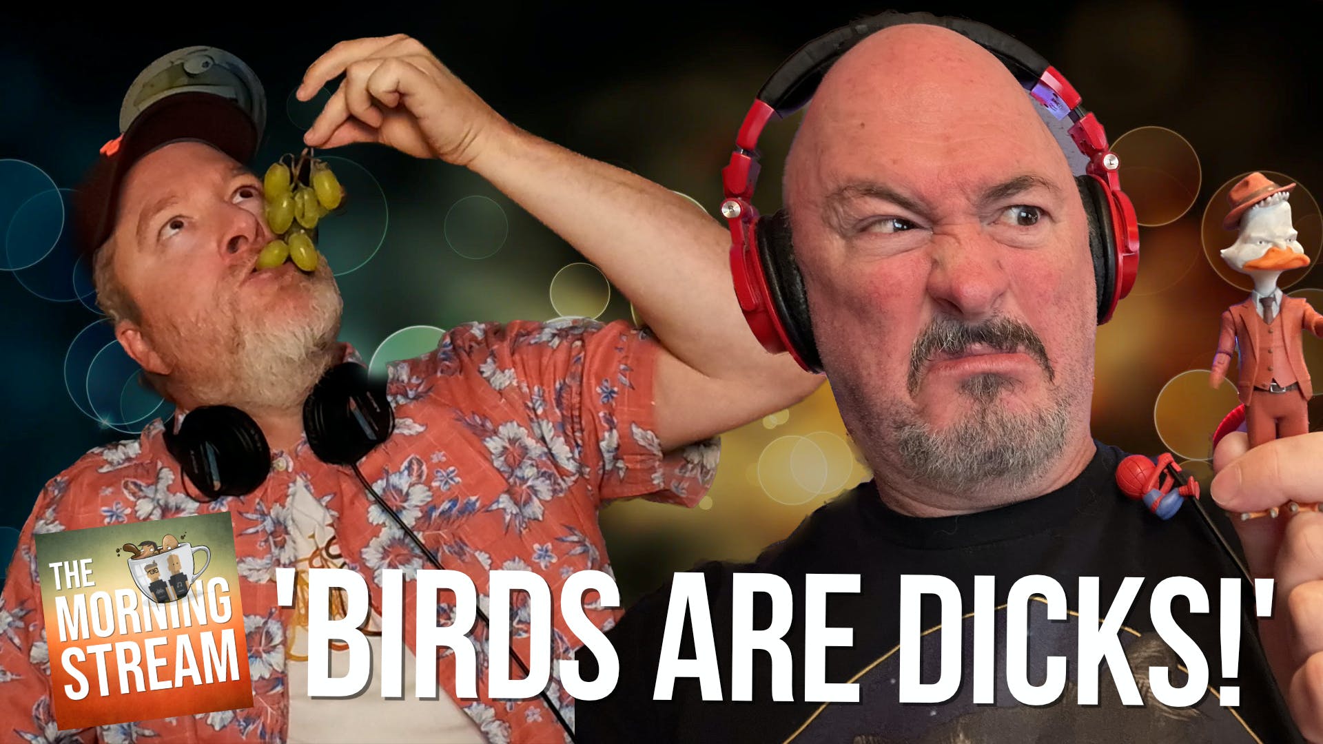 cover art for TMS 2488: Birds are Dicks!