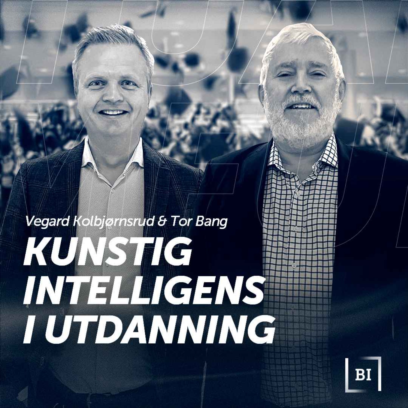 BI Innsikt