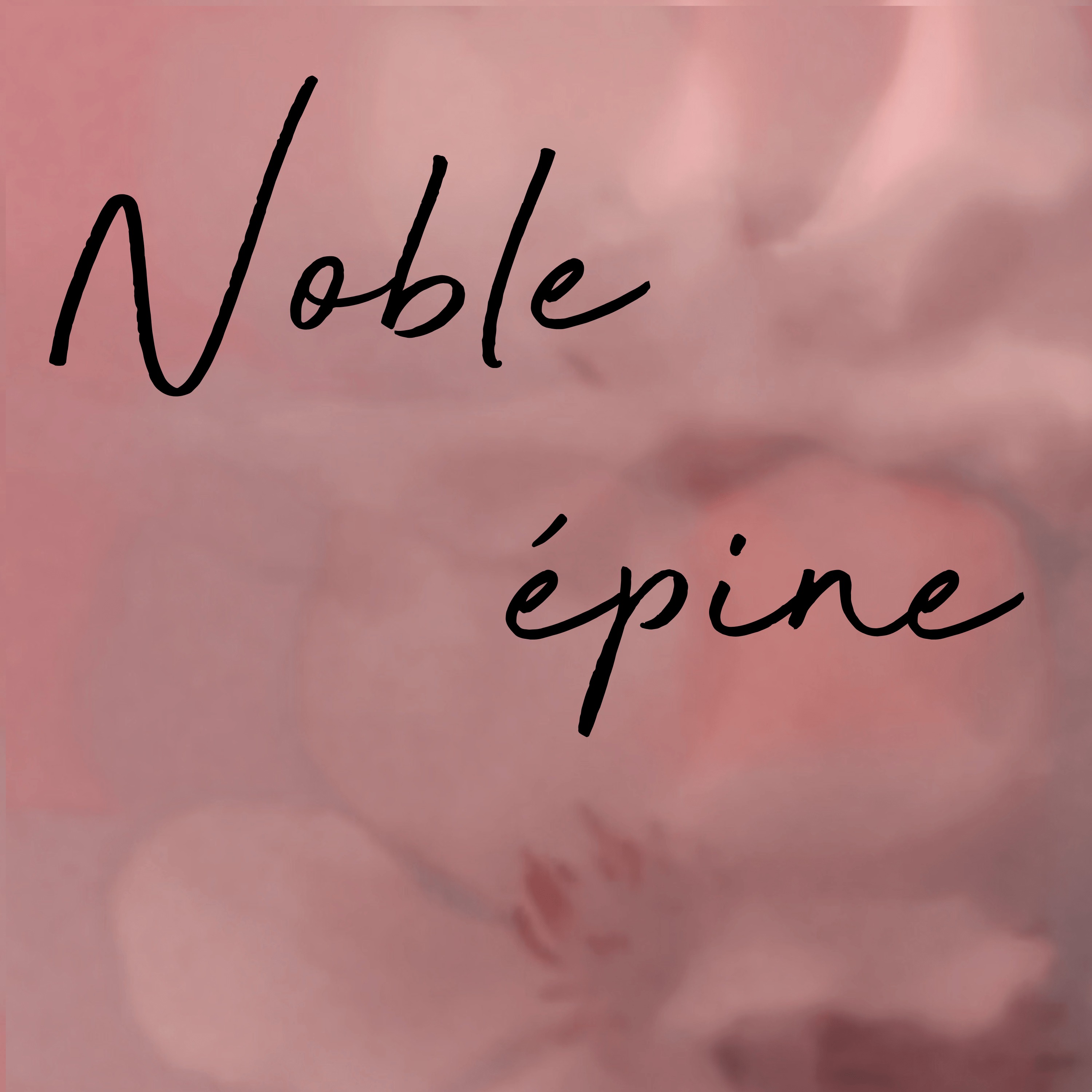 Noble Epine, la mystérieuse