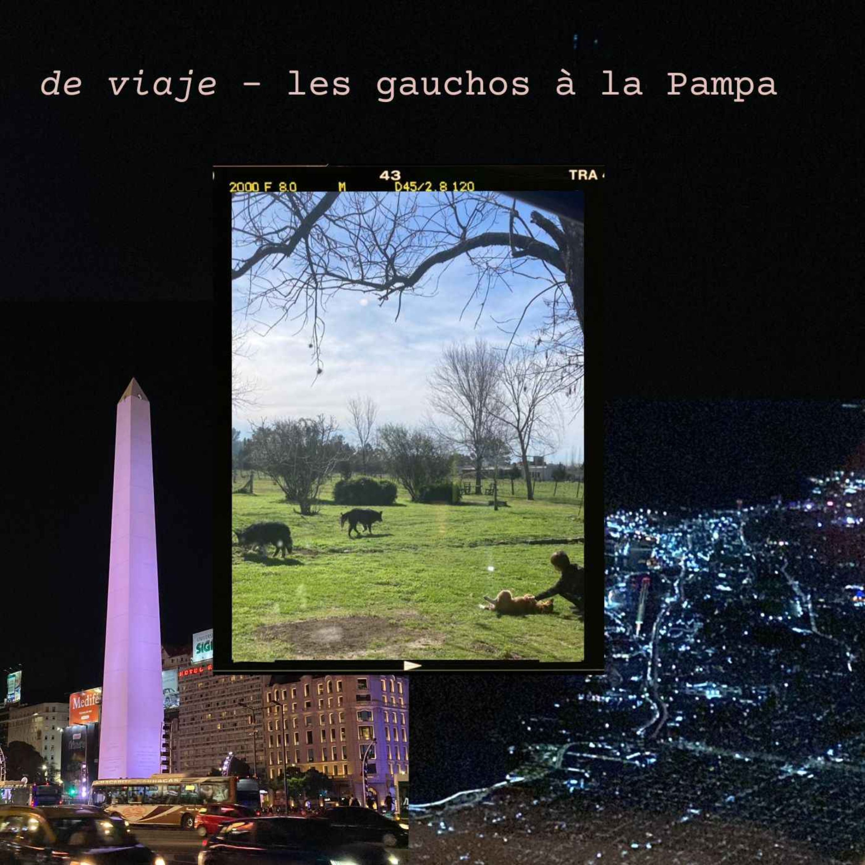 de viaje - marou en argentine