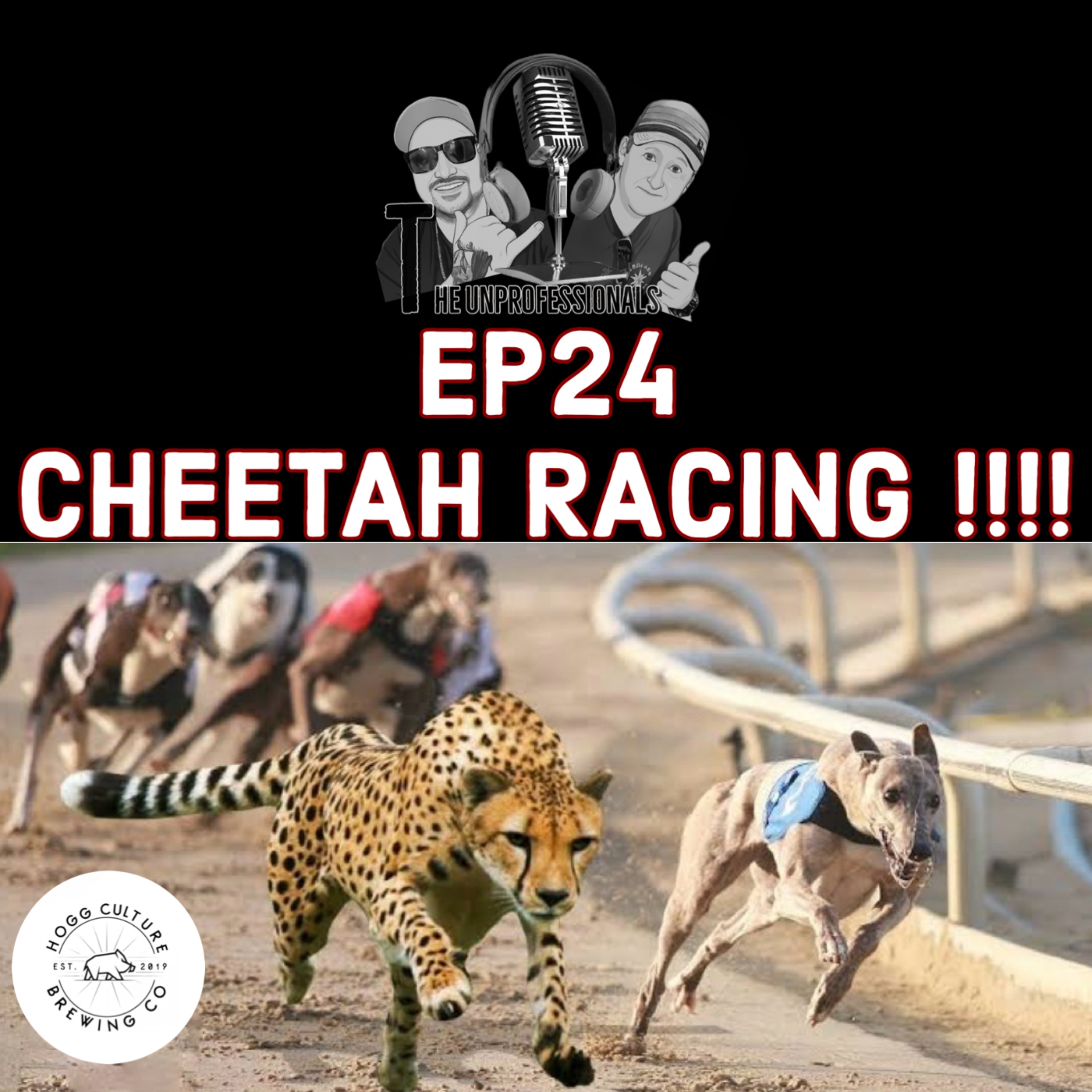 Extreme Cheetah Racing !!! Sports 2.0