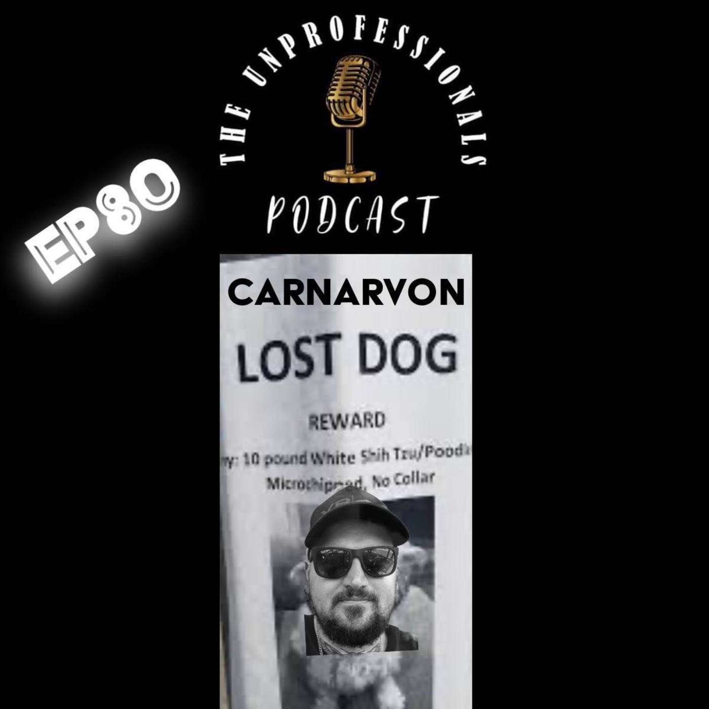 Lost Dog