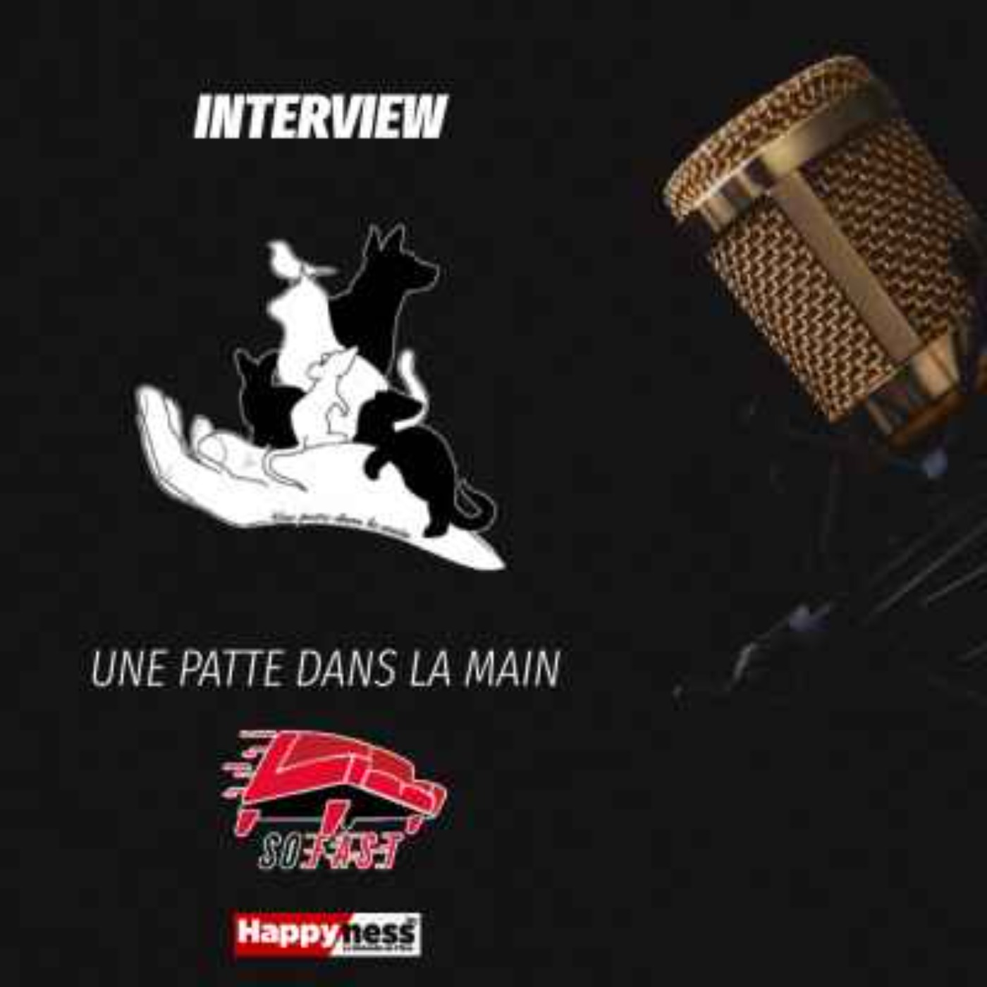 Le So'Fast - Interview: Une Patte Dans La Main episode artwork