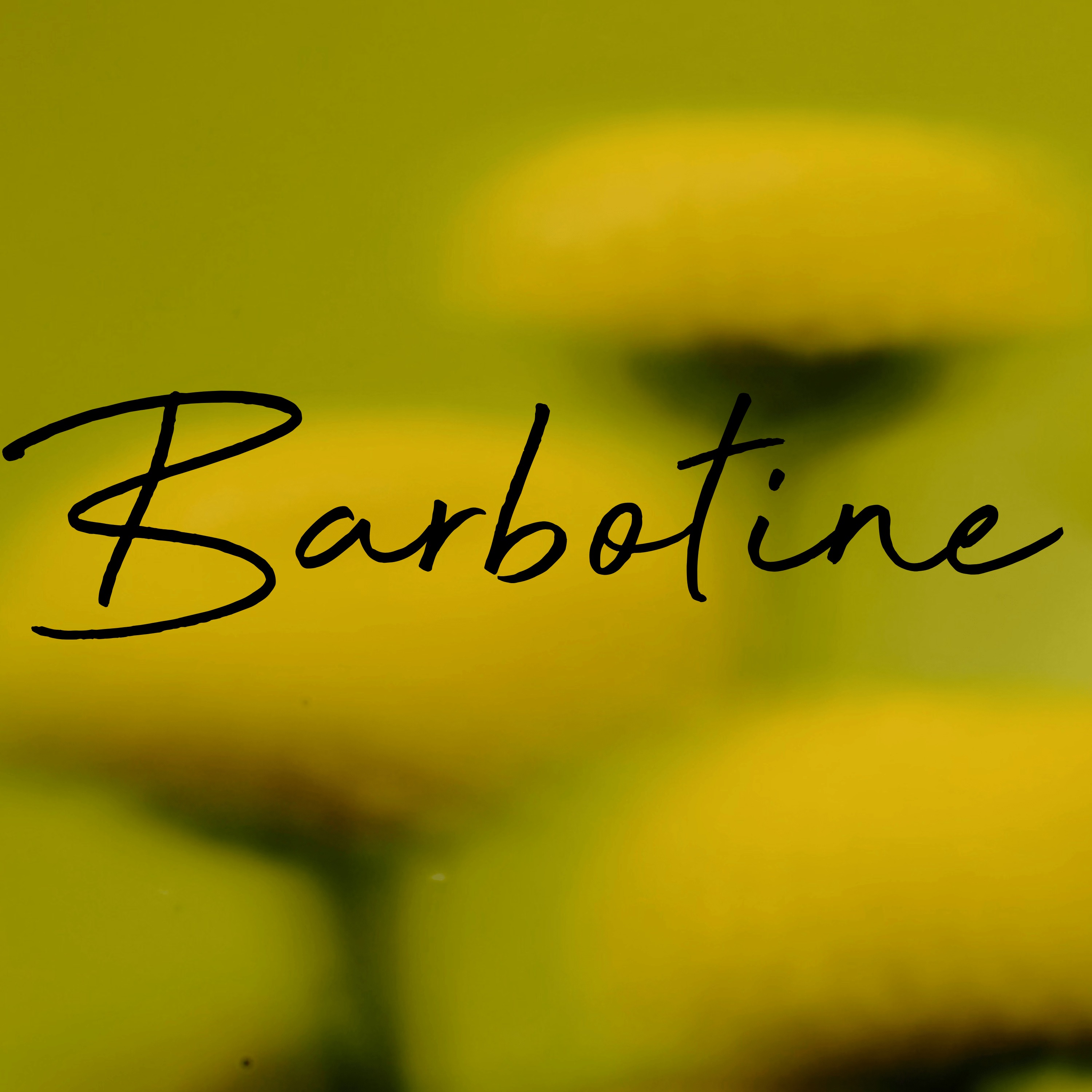 cover art for Barbotine, the Bold