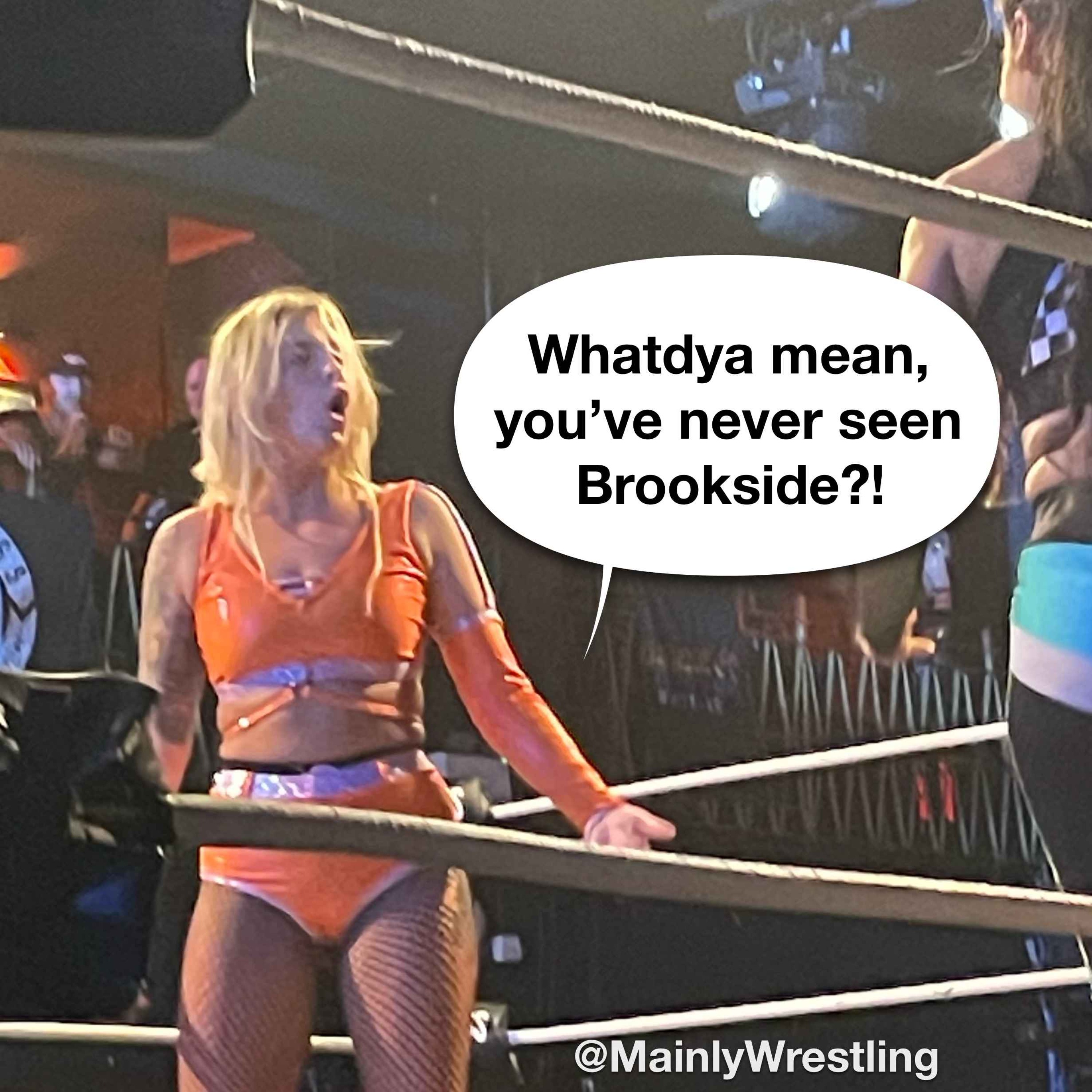 The Mainly Wrestling Show