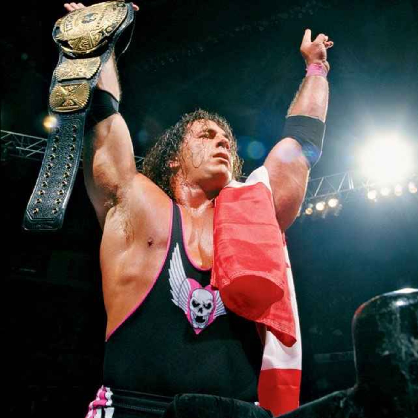 The Mainly Wrestling Show