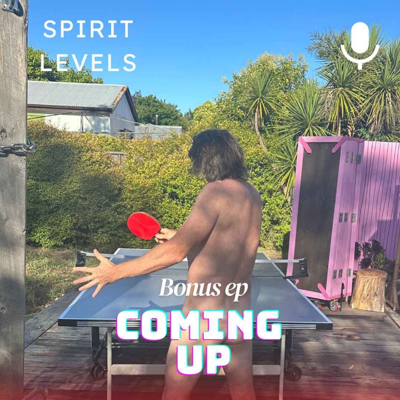 cover art for Coming up on Spirit Levels in 2024