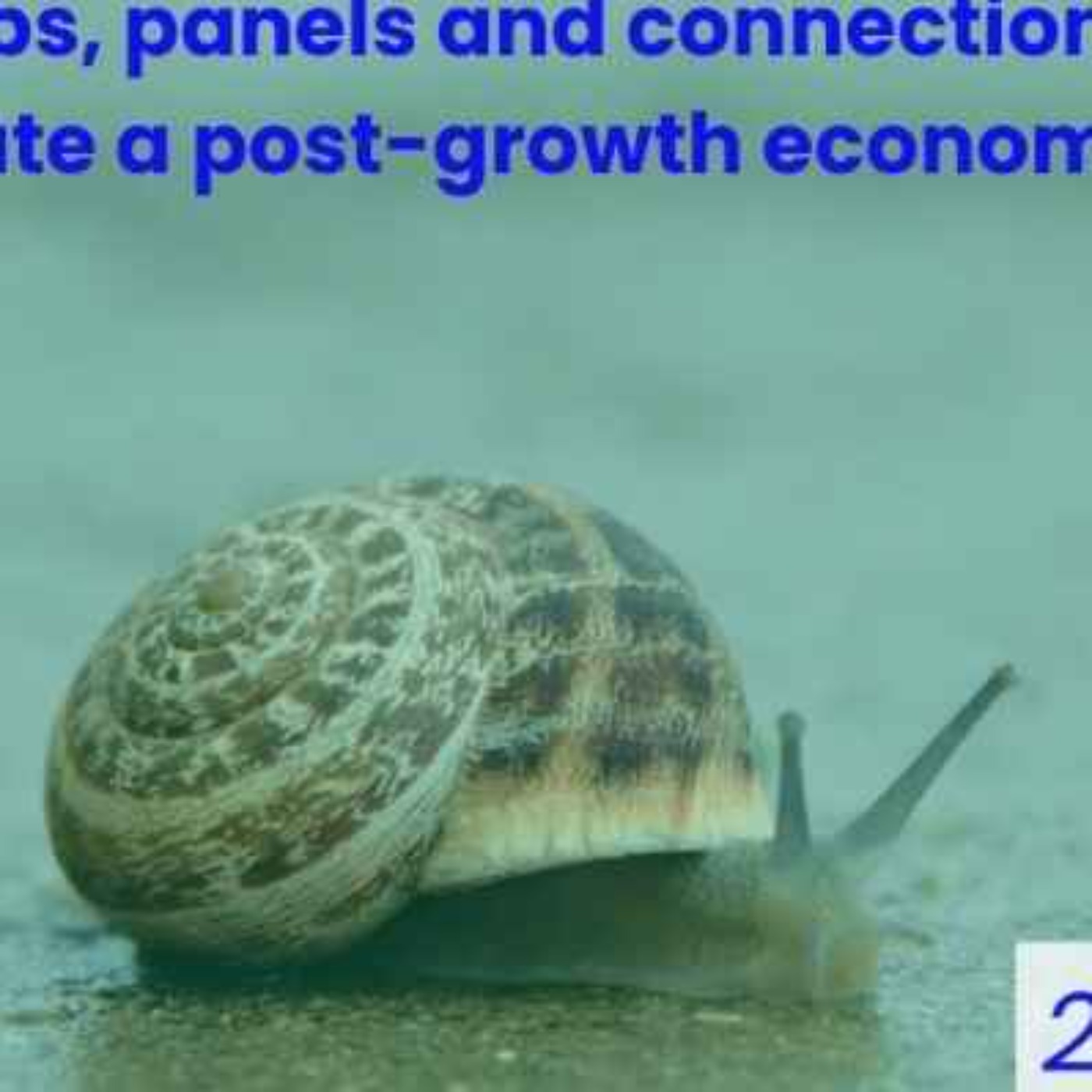 The Growing out of Growth (GooG) Festival Panel Discussion Part 1