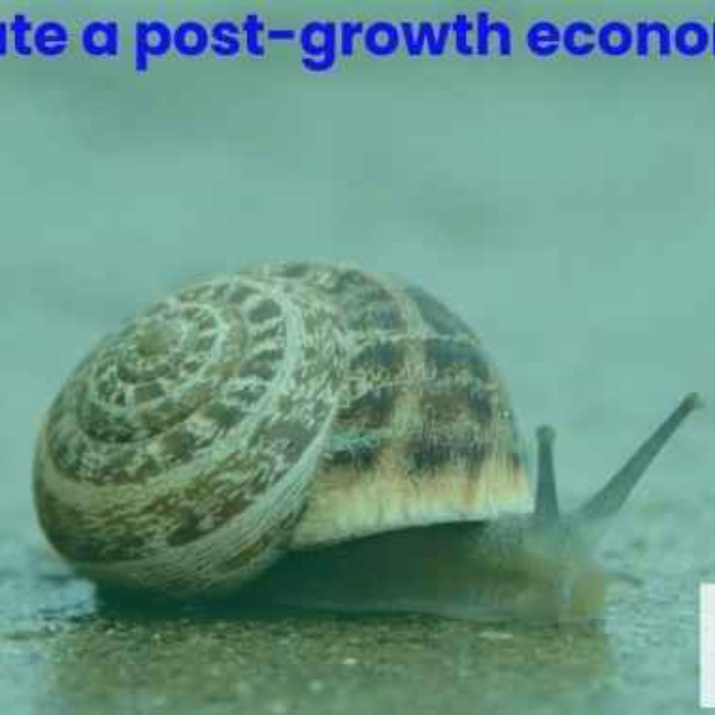 The Growing out of Growth (GooG) Festival Panel Discussion Part 2