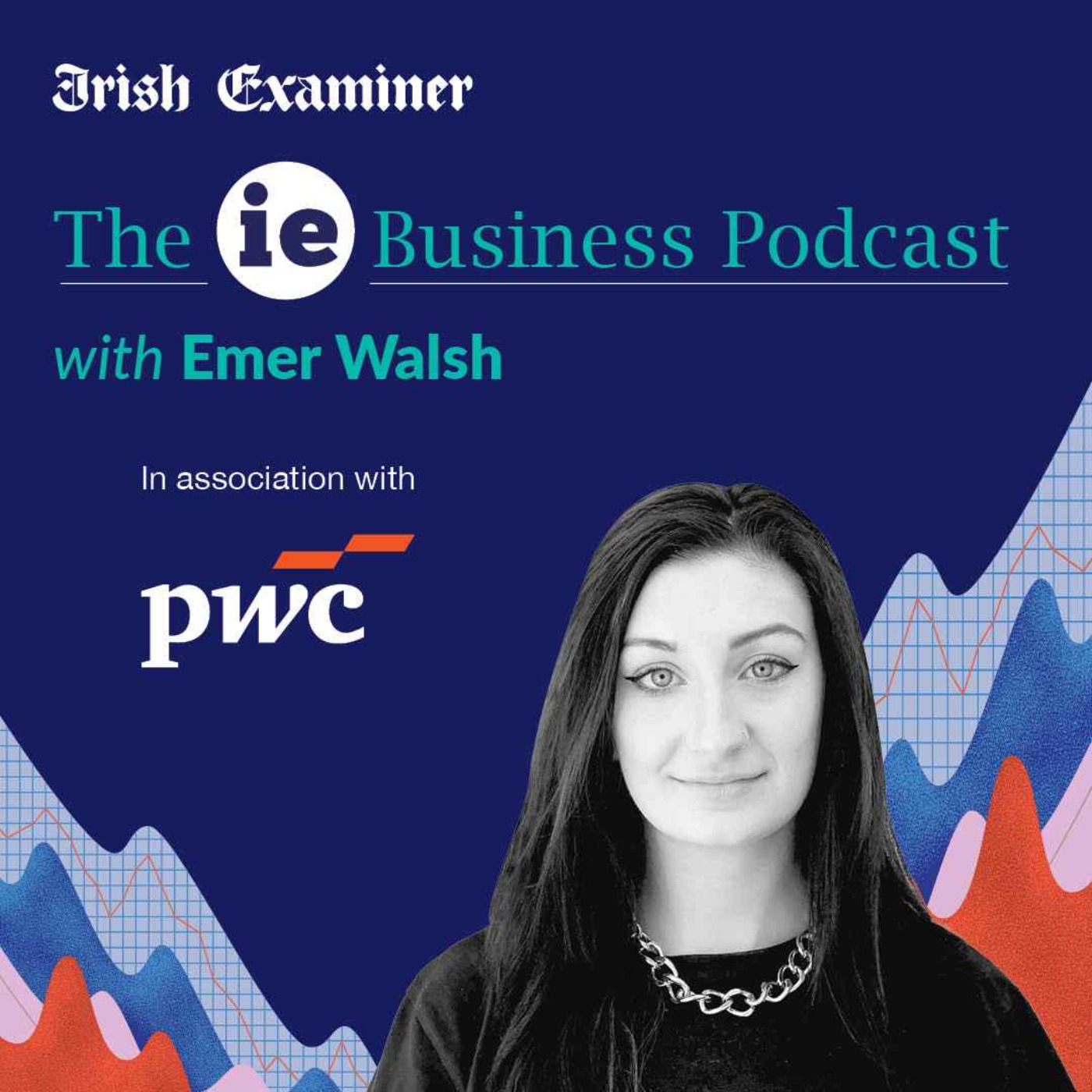 The ieBusiness Podcast: Budget 2026 assessment with PwC's Nicola Quinn and Irish Examiner's Alan Healy episode artwork