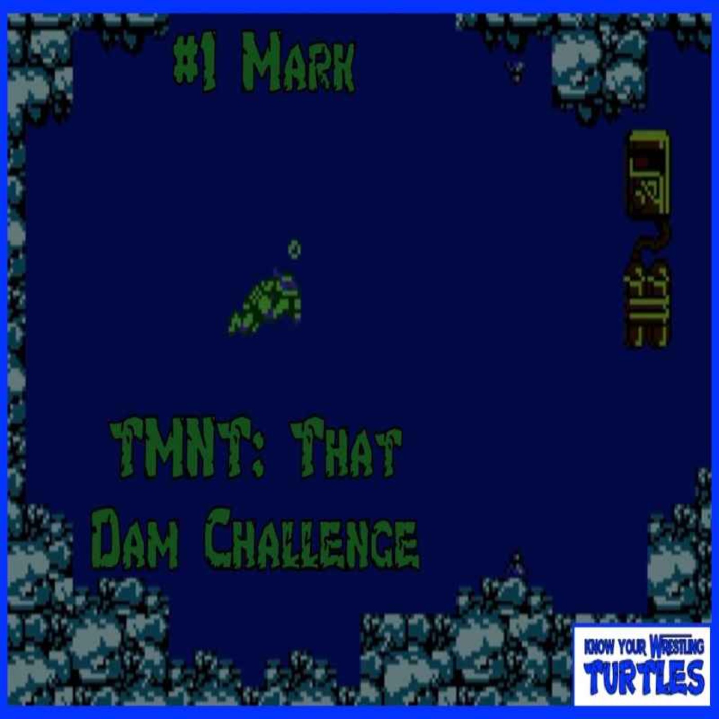 TMNT: That Dam Challenge #1 Mark
