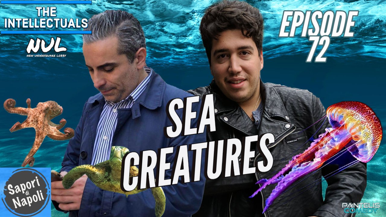Episode 72 | Sea Creatures