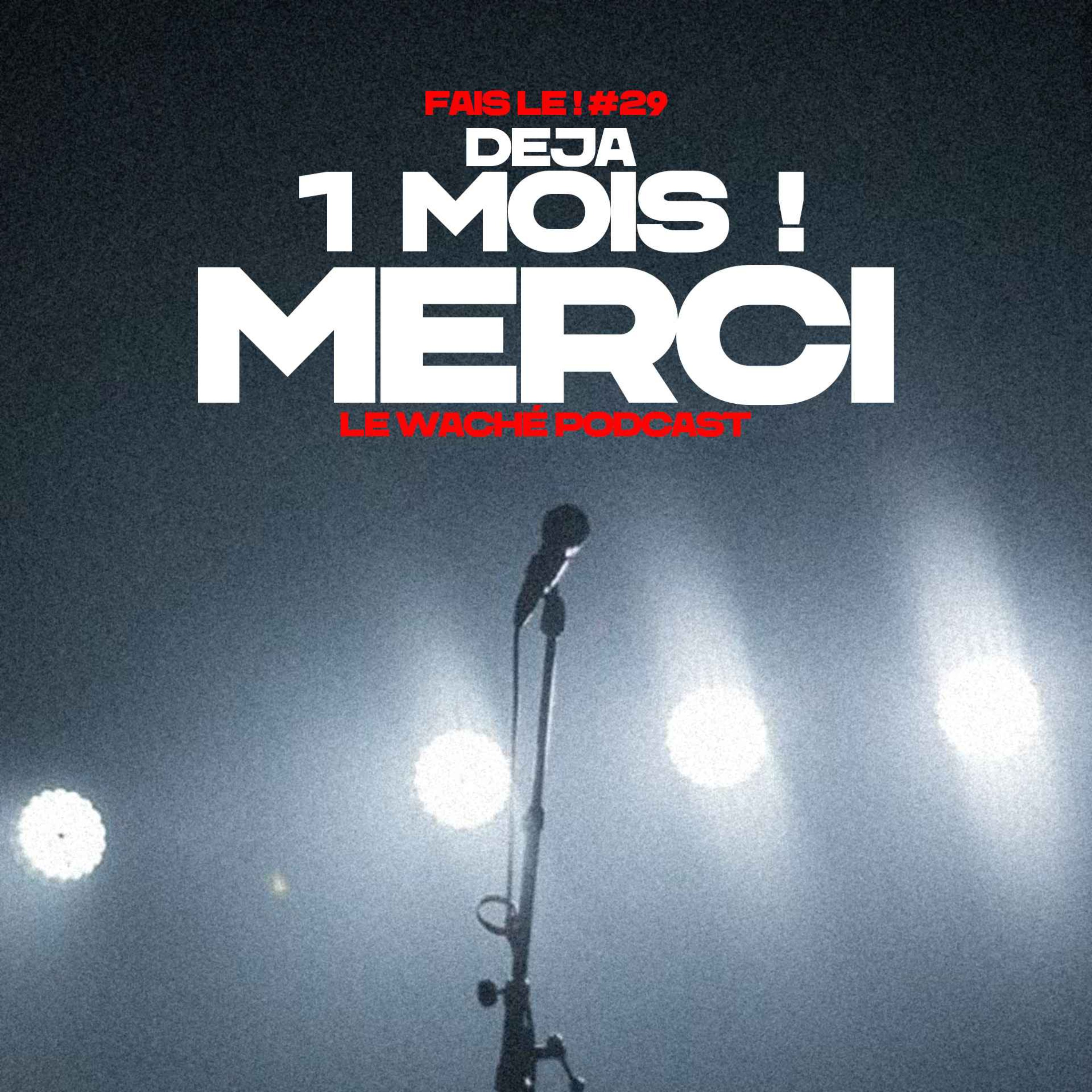 #29 - Déjà 1 mois ! Merci episode artwork