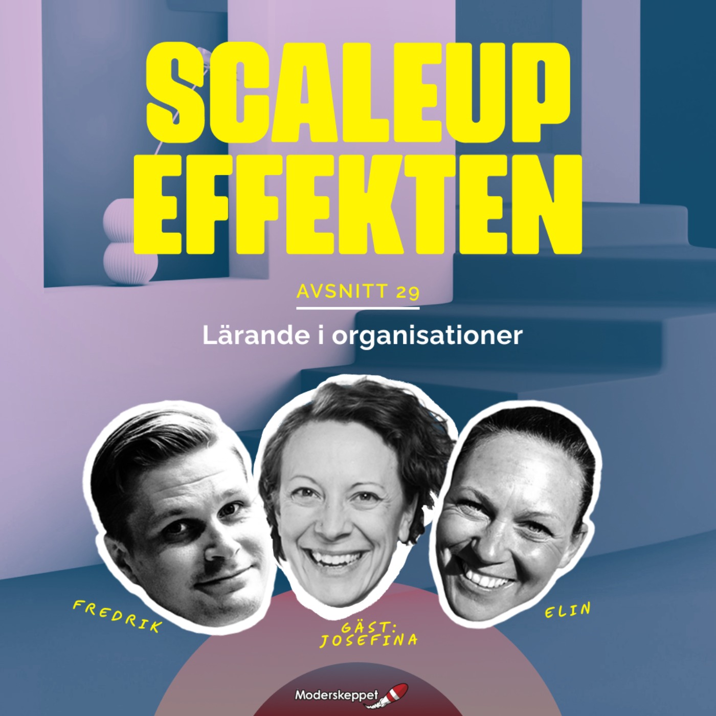 #29 Lärande i organisationer med Josefina Sahlin #29 Lärande i organisationer med Josefina Sahlin