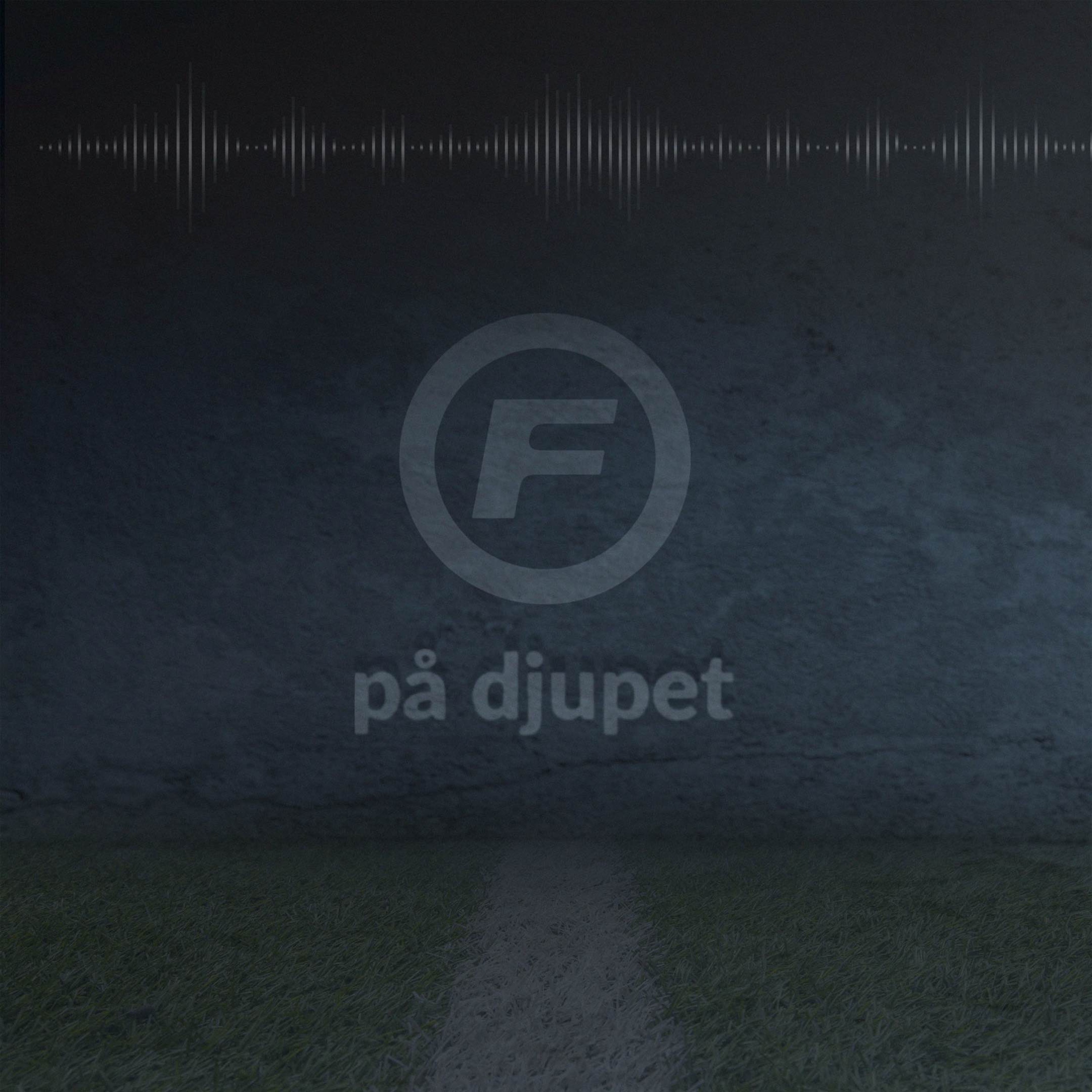 Fotbollskanalen på djupet podcast artwork
