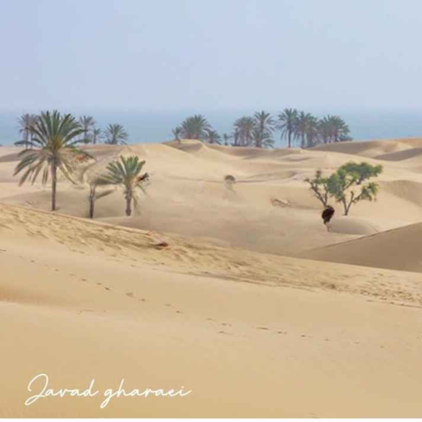 معرفی کَندیل