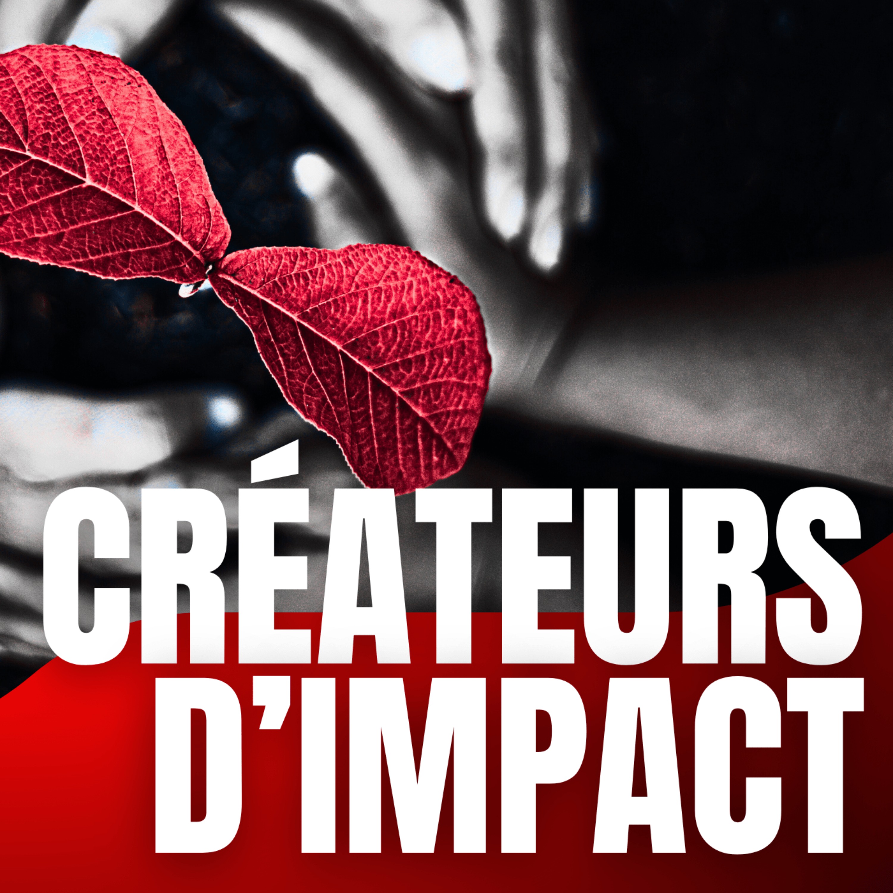 Créateurs d'impact