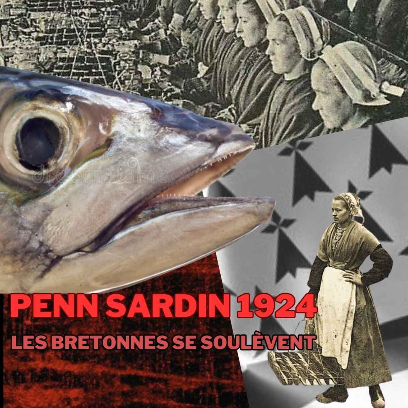 Penn Sardin 1924 : les Bretonnes se soulèvent