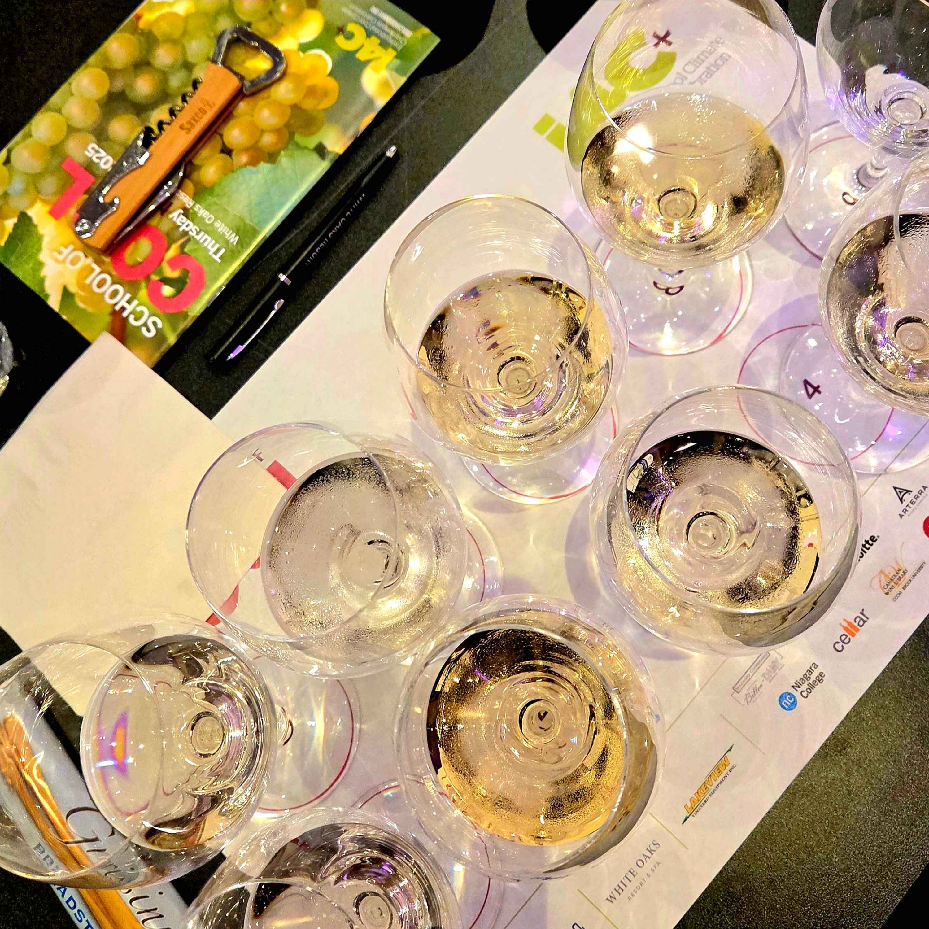 What is the future of Chardonnay? (and maybe cool climate wine)