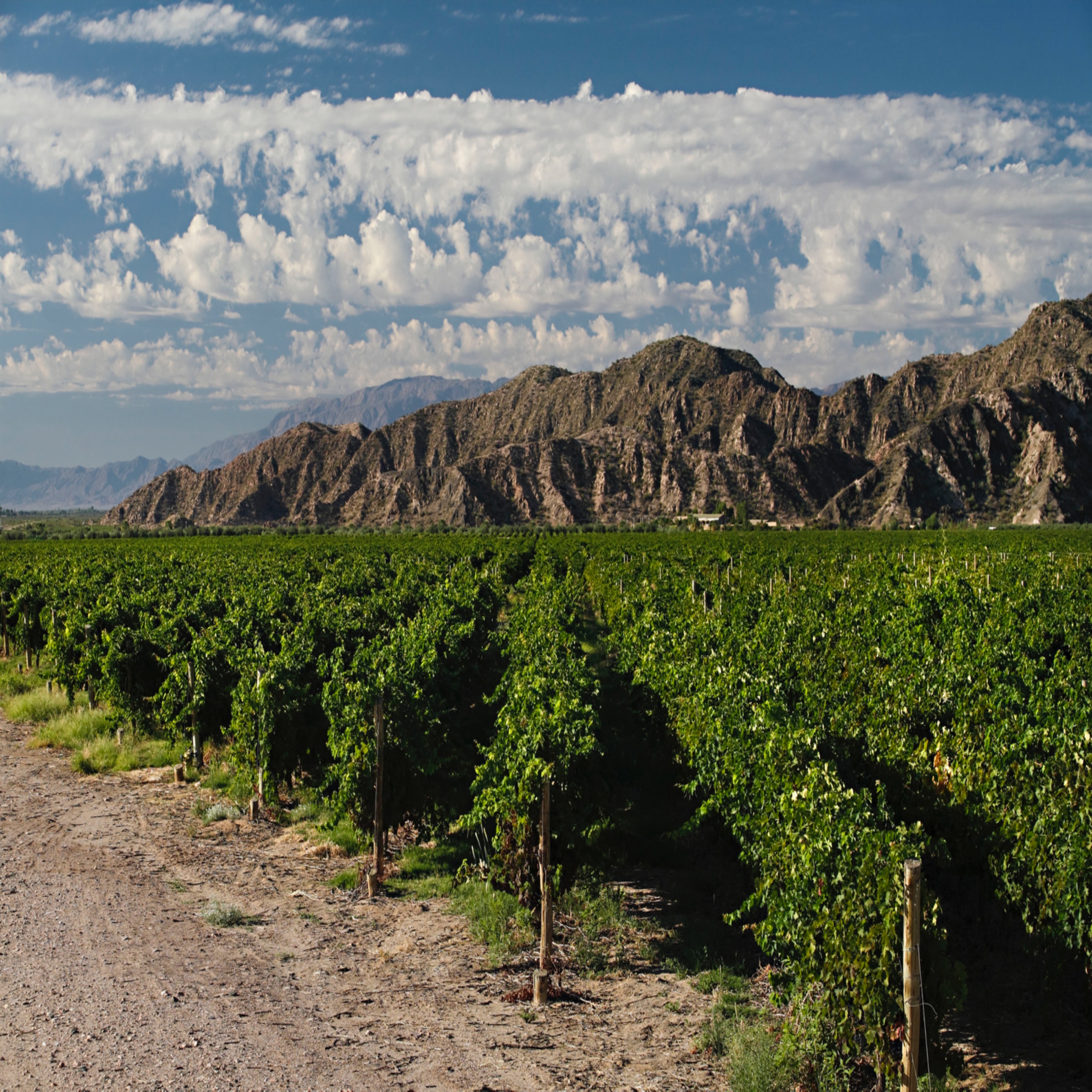 Did you celebrate Malbec World Day?