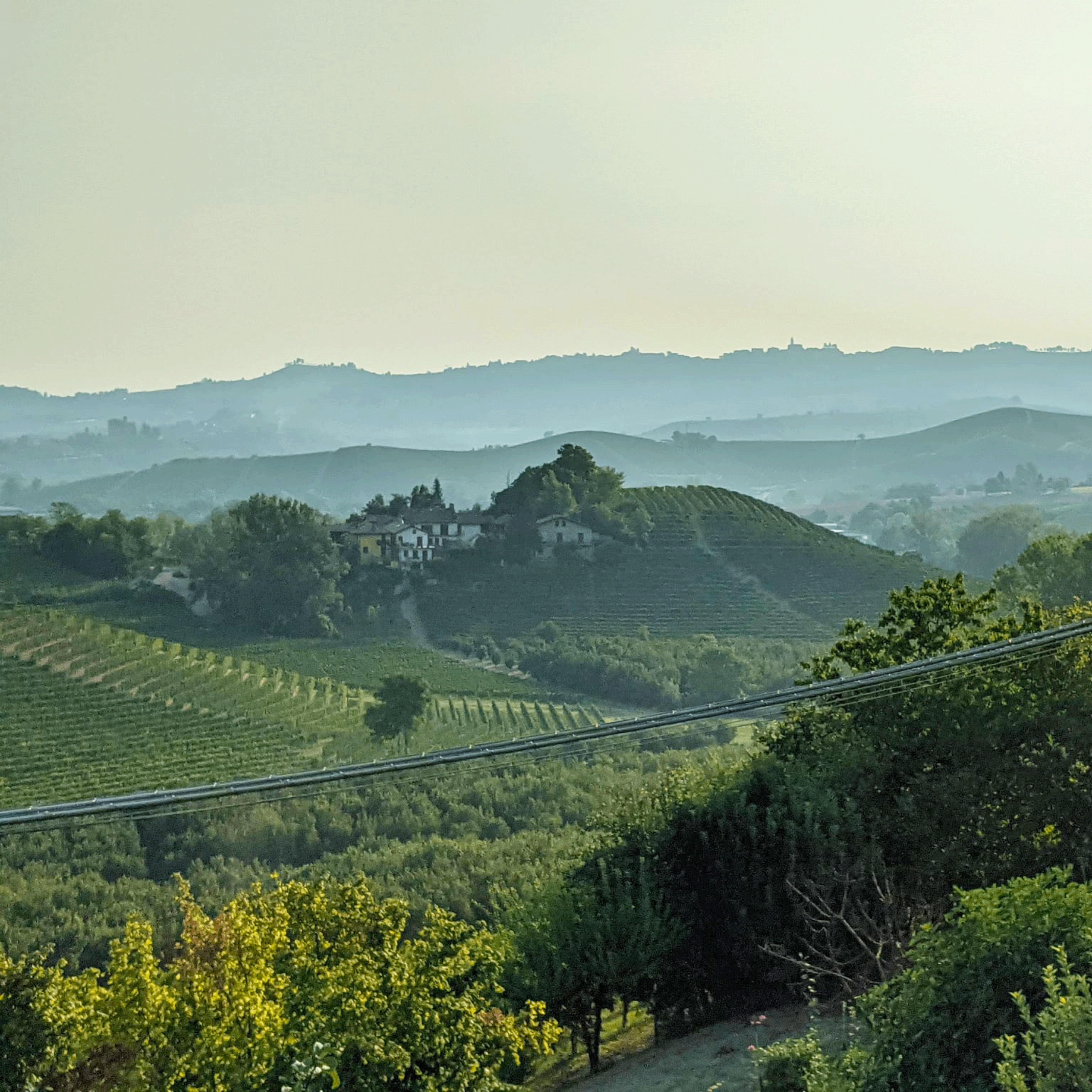 Golf Claps and Nebbiolo: A Playful Dive into Barolo and Barbaresco episode artwork