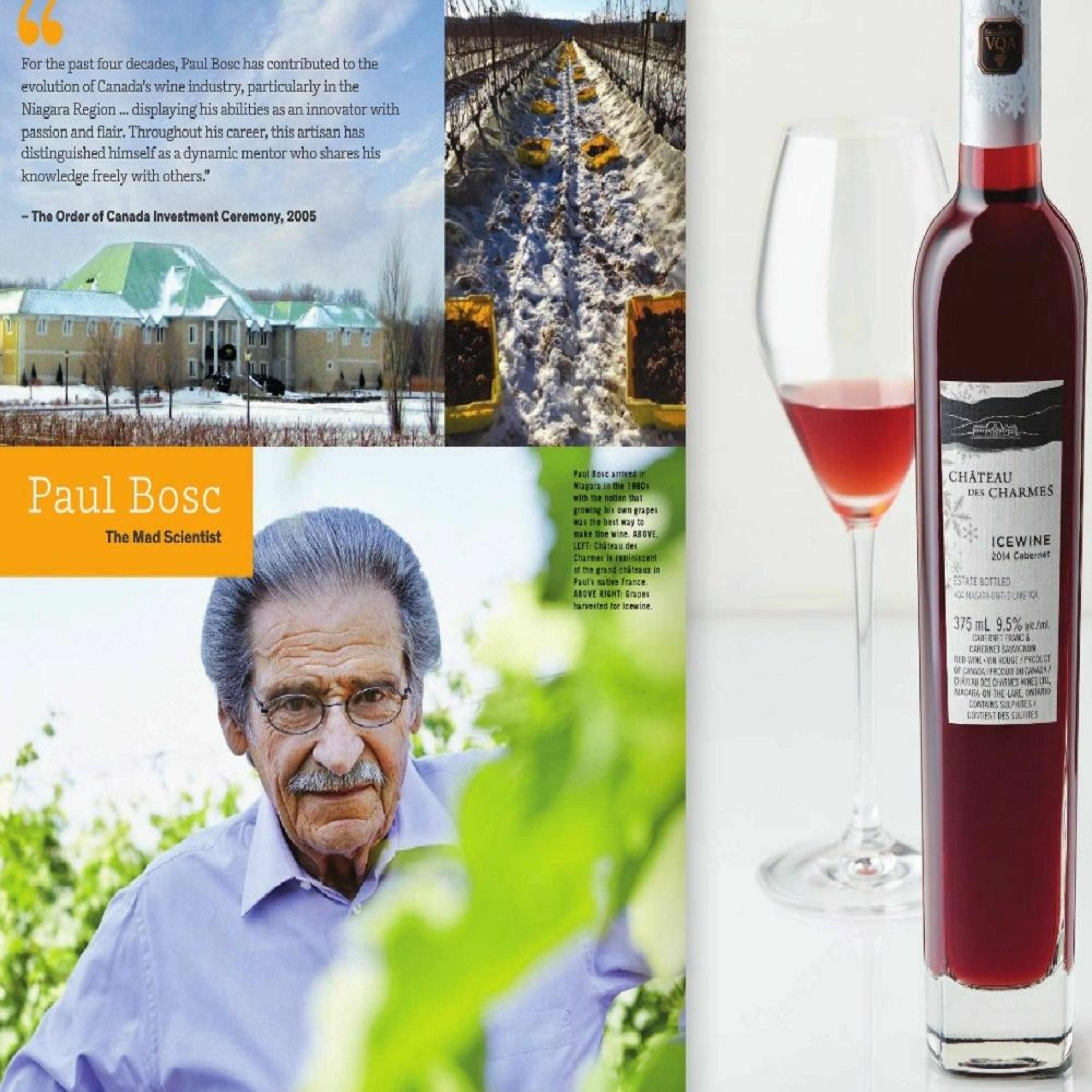 Chateau des Charmes - Wrong Wine In Vintages Catalogue (episode 39)