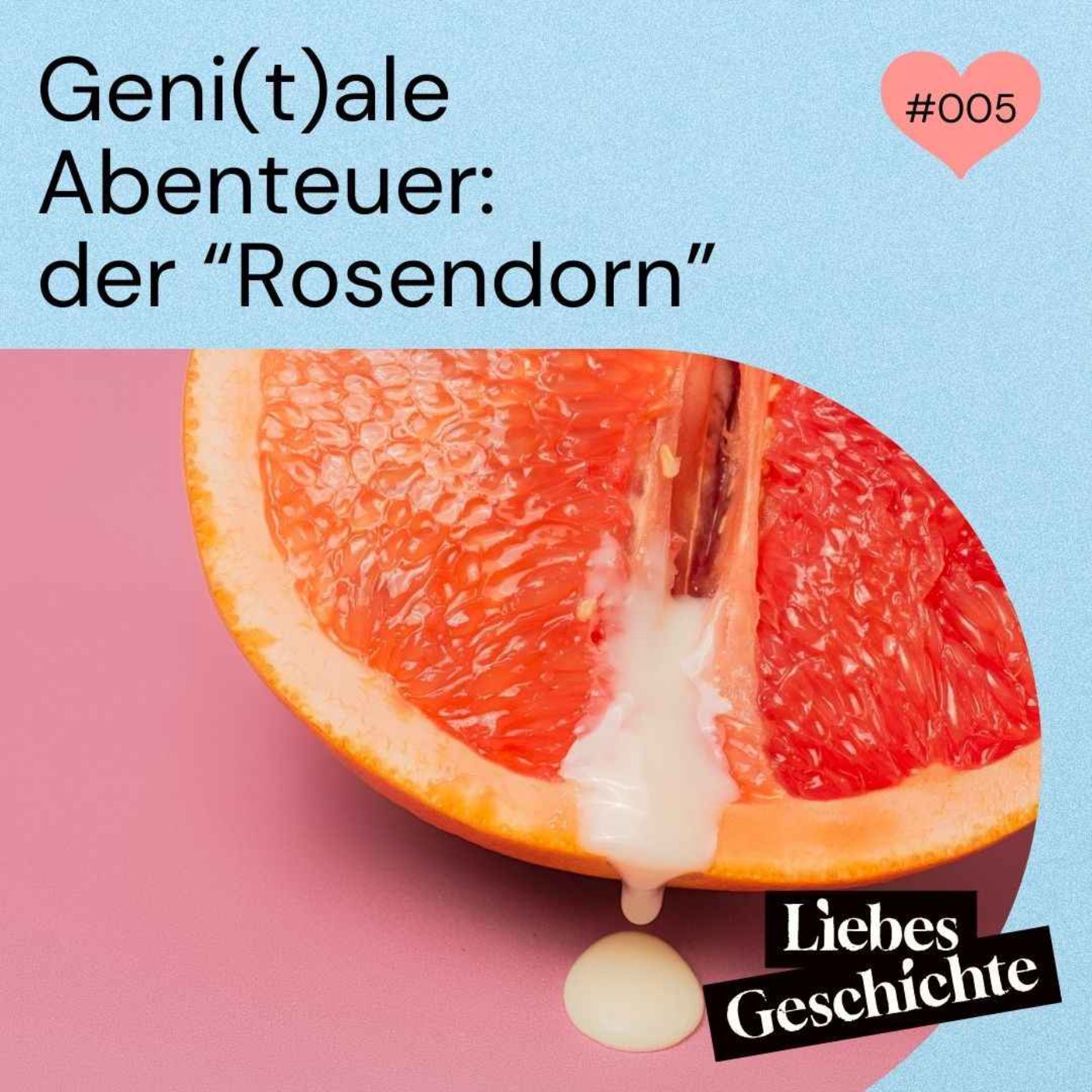 cover art for Episode 5: Geni(t)ale Abenteuer - der "Rosendorn"