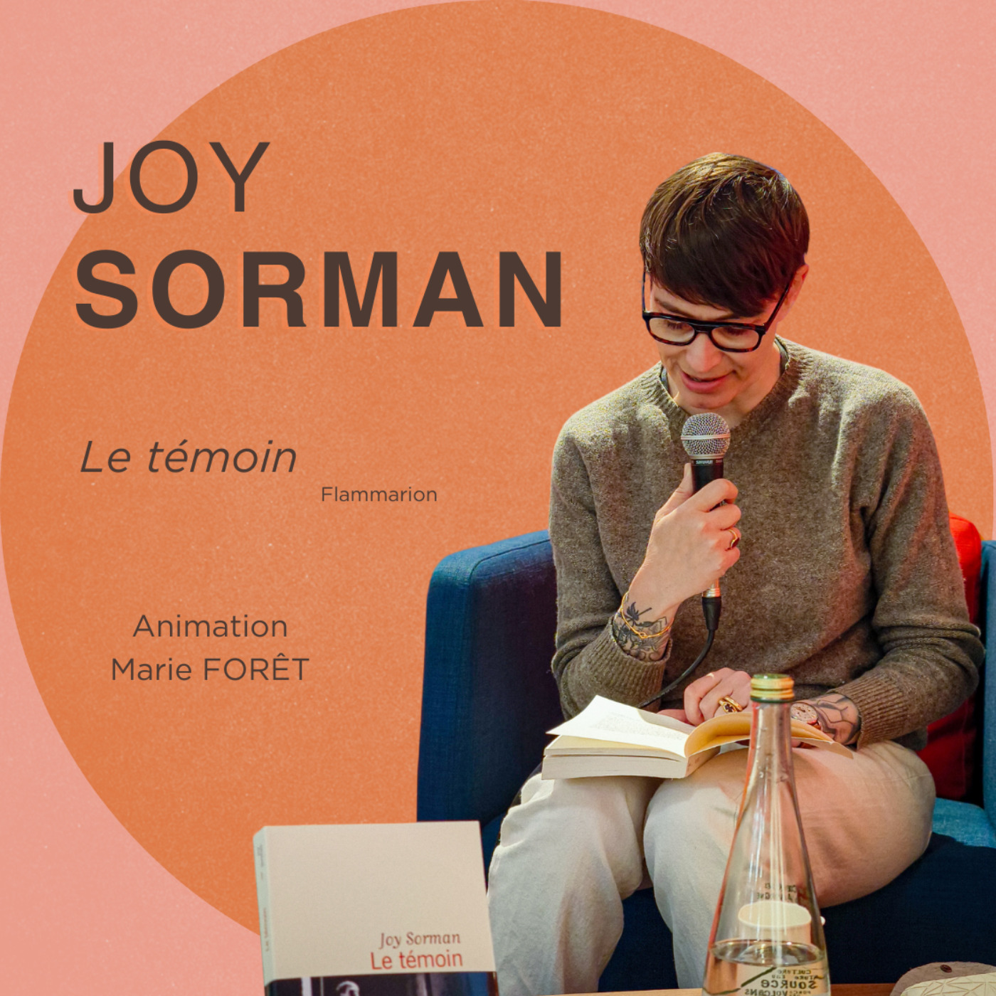 cover art for Joy Sorman - Le témoin
