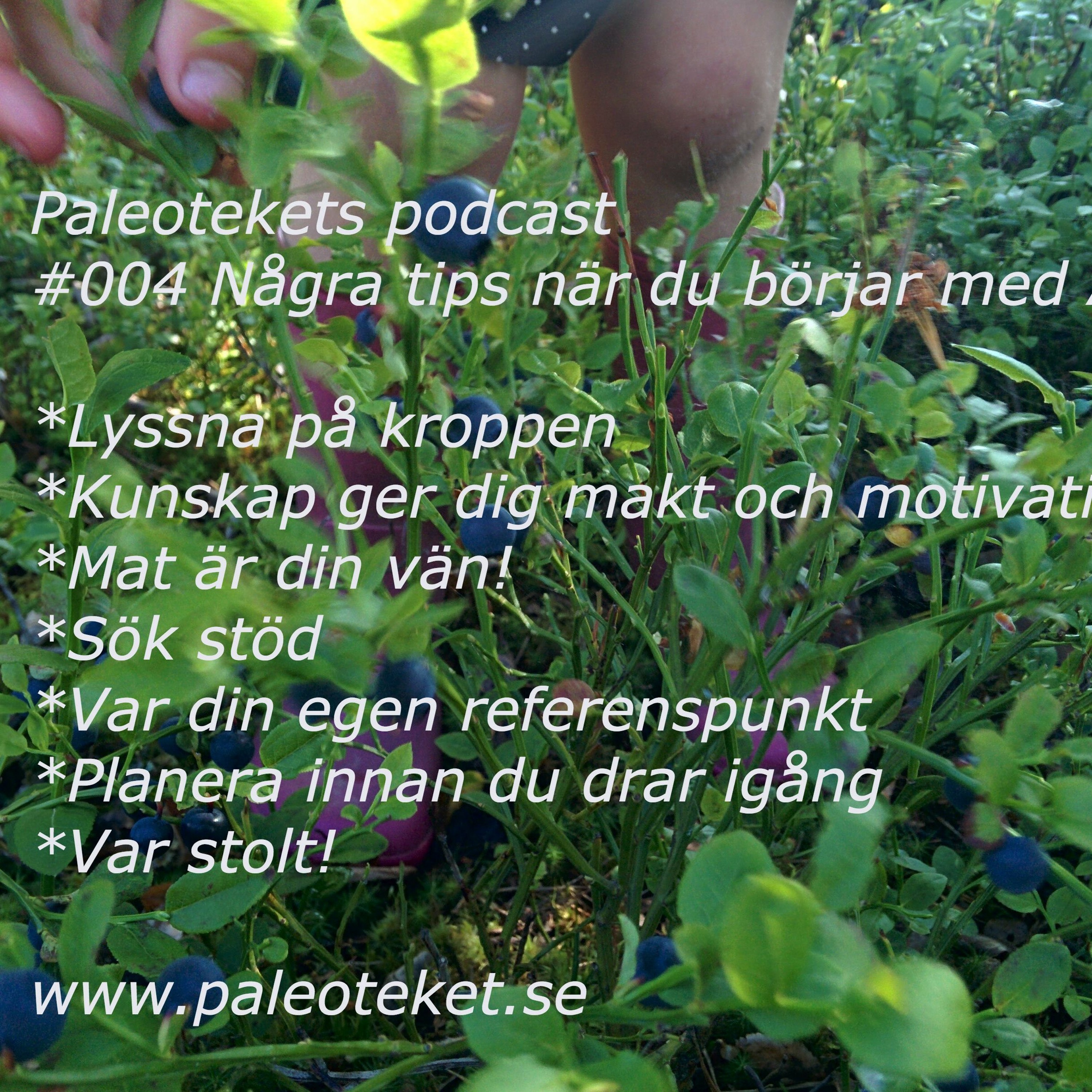Paleoteket