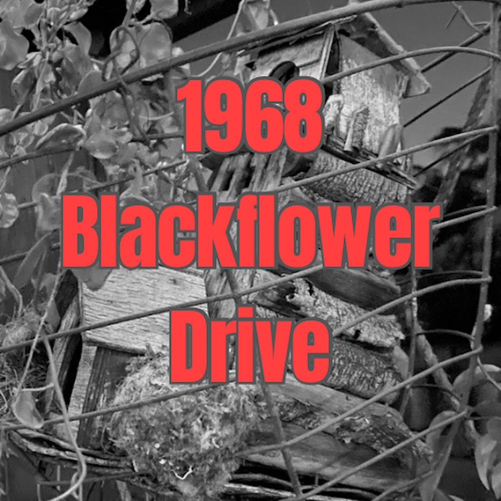 Trailer: 1968 Blackflower Drive