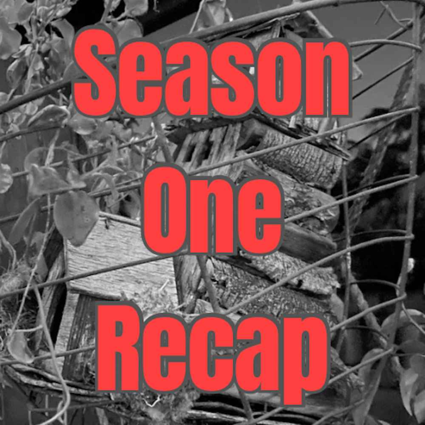 Trailer: Finale: Season One Recap