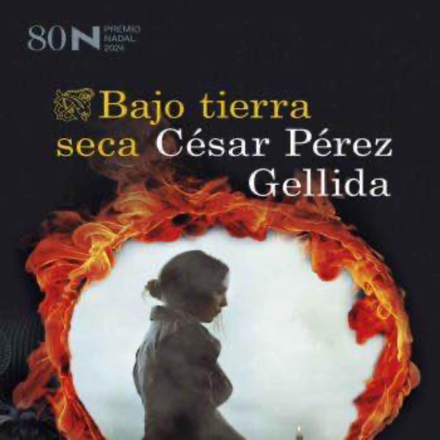 Bajo Tierra Seca - César Pérez Gellida episode artwork