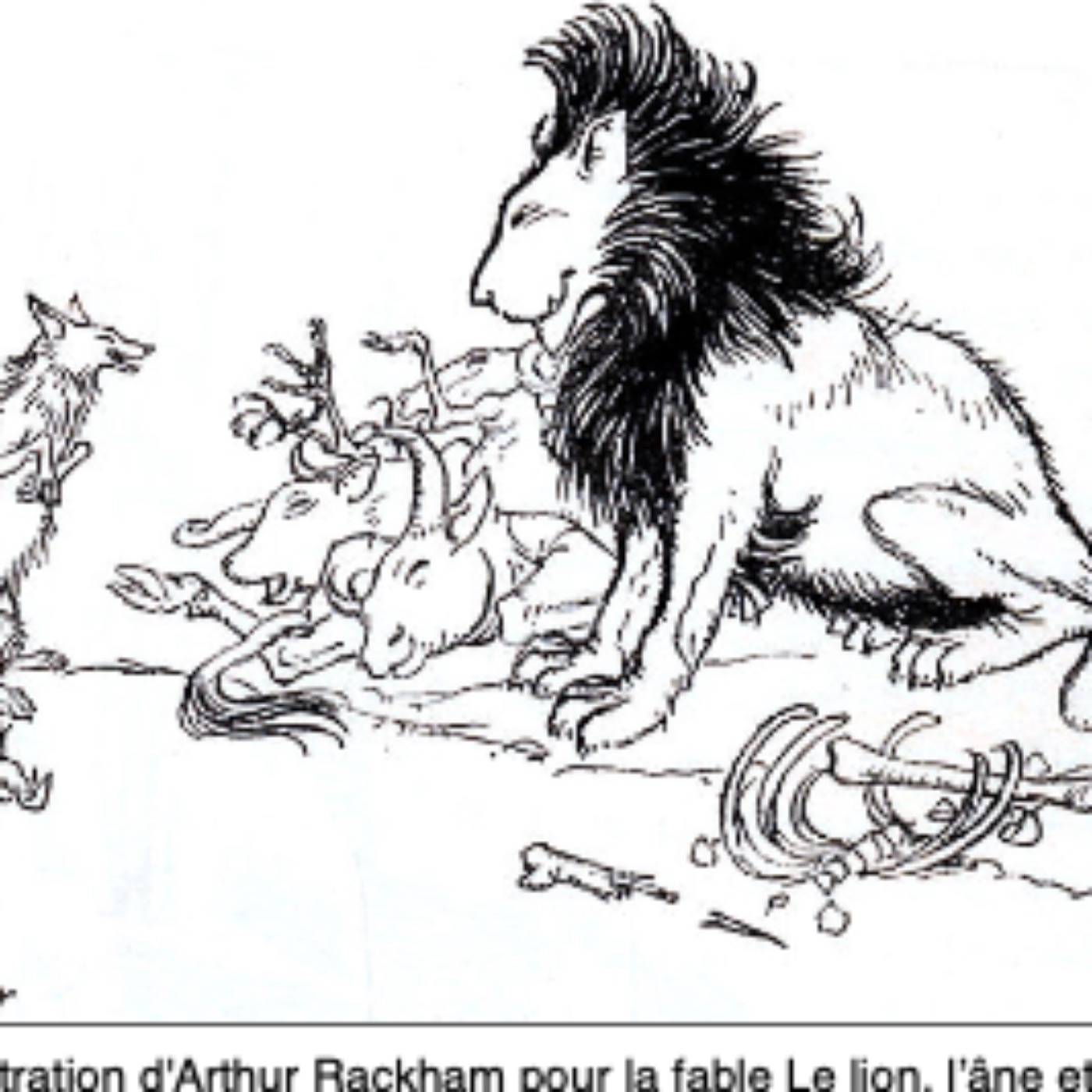 El lobo y el León episode artwork