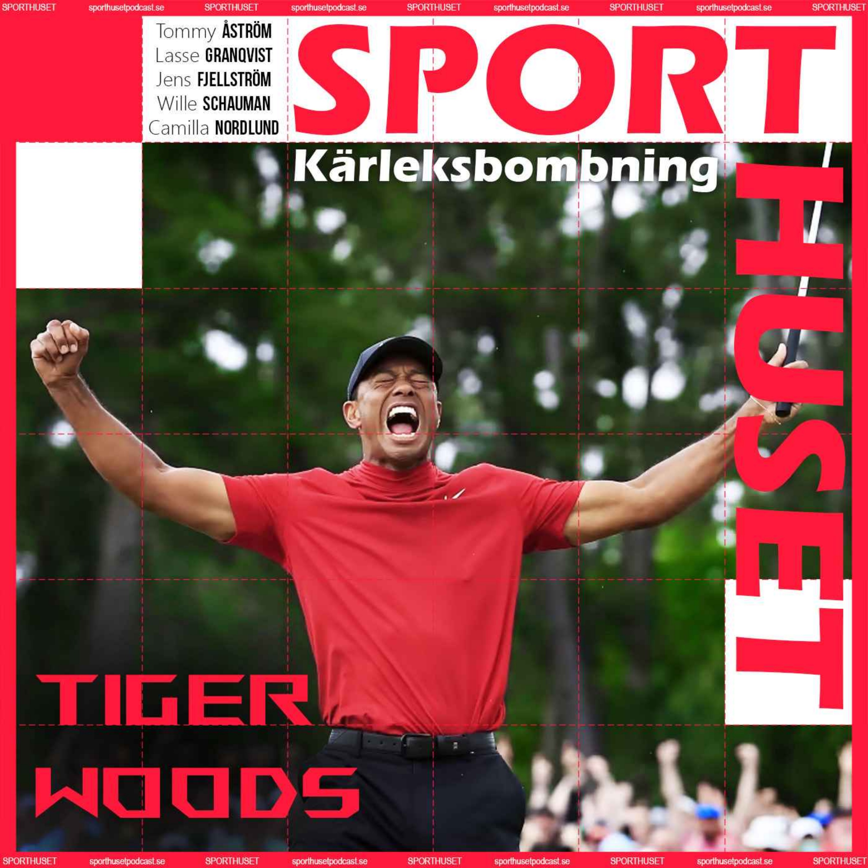 cover art for Kärleksbombning - Tiger Woods