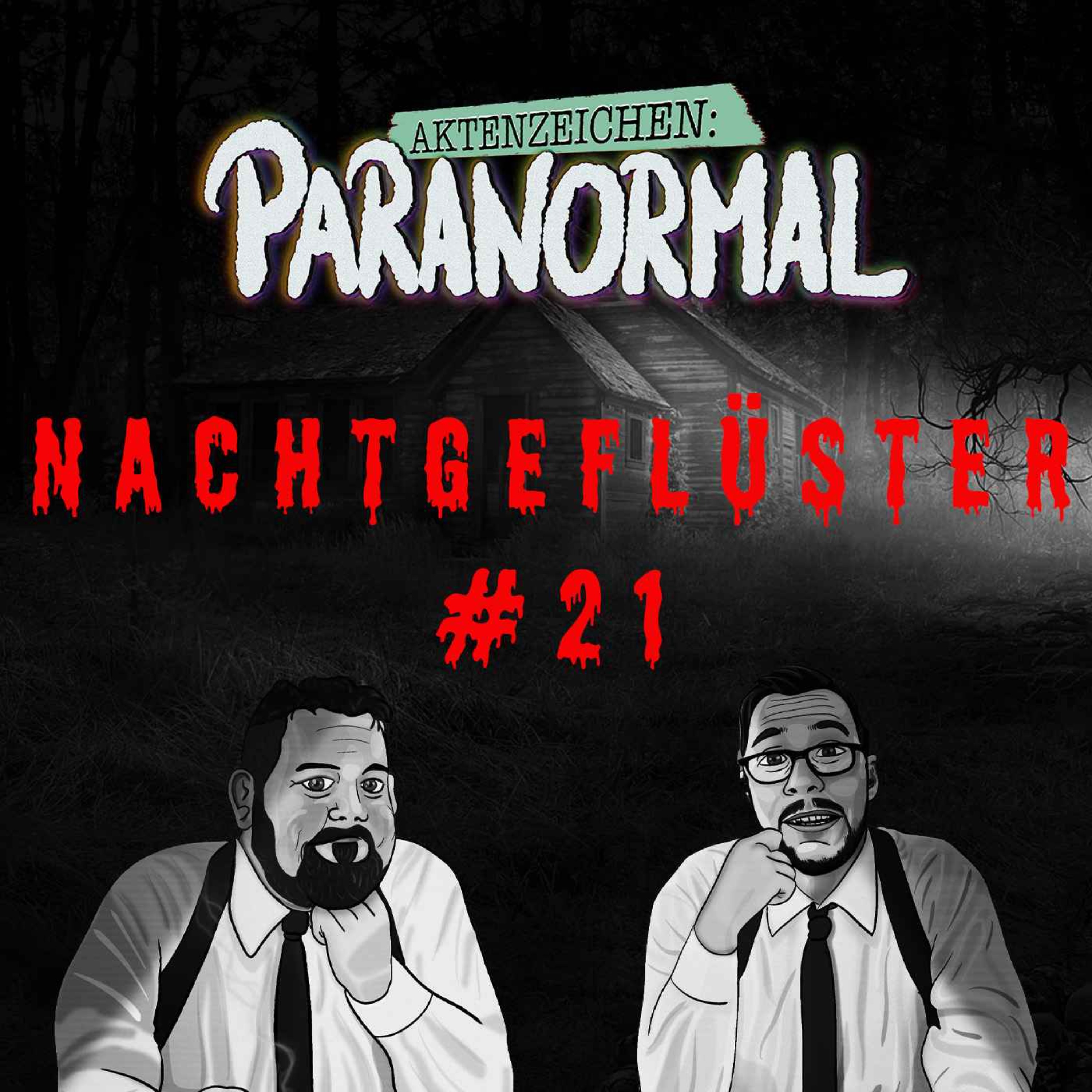 cover art for Aktenzeichen Nachtgeflüster #21: Erlebnisse der Community