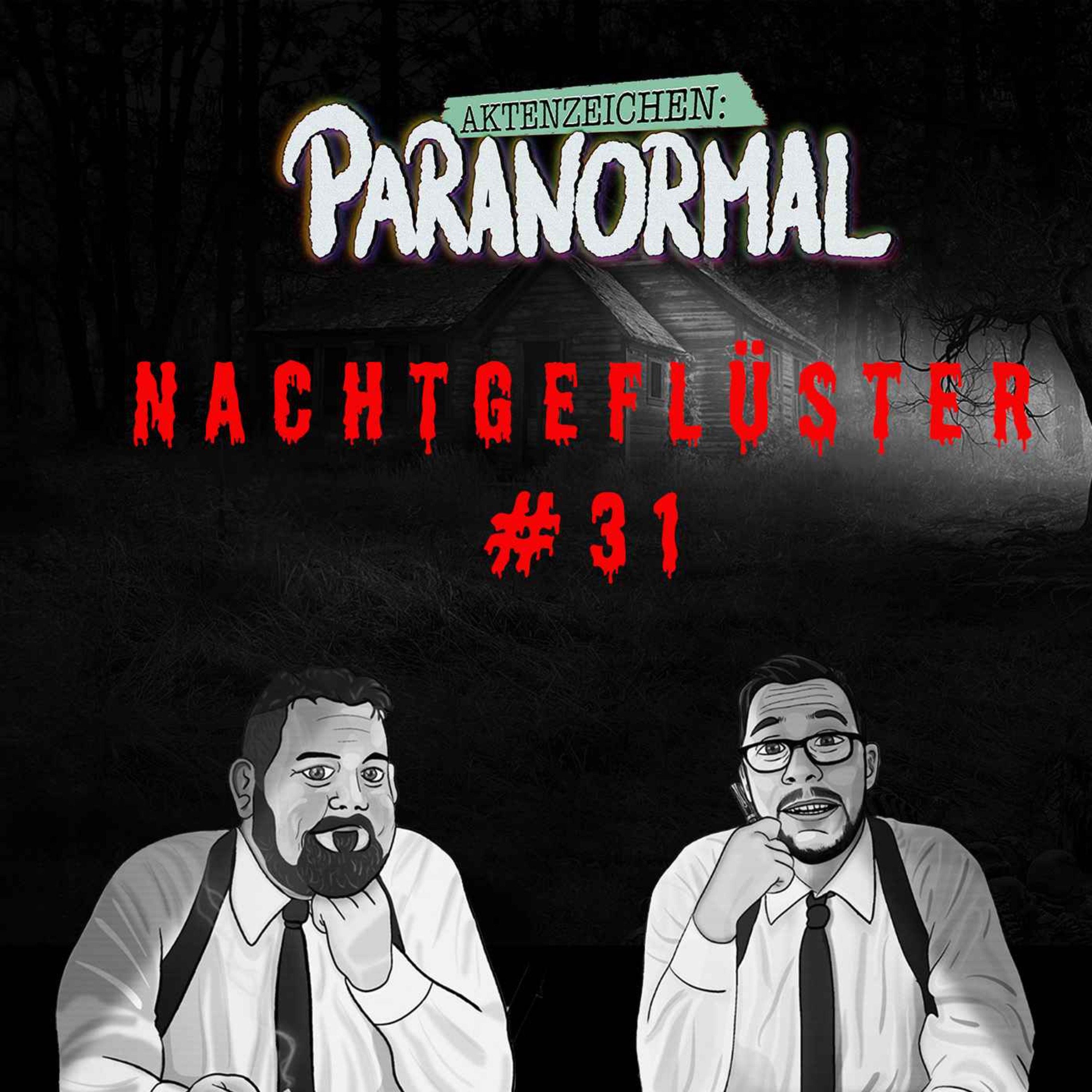 cover art for Aktenzeichen Nachtgeflüster #31 HitRadio Nachtgeflüster 