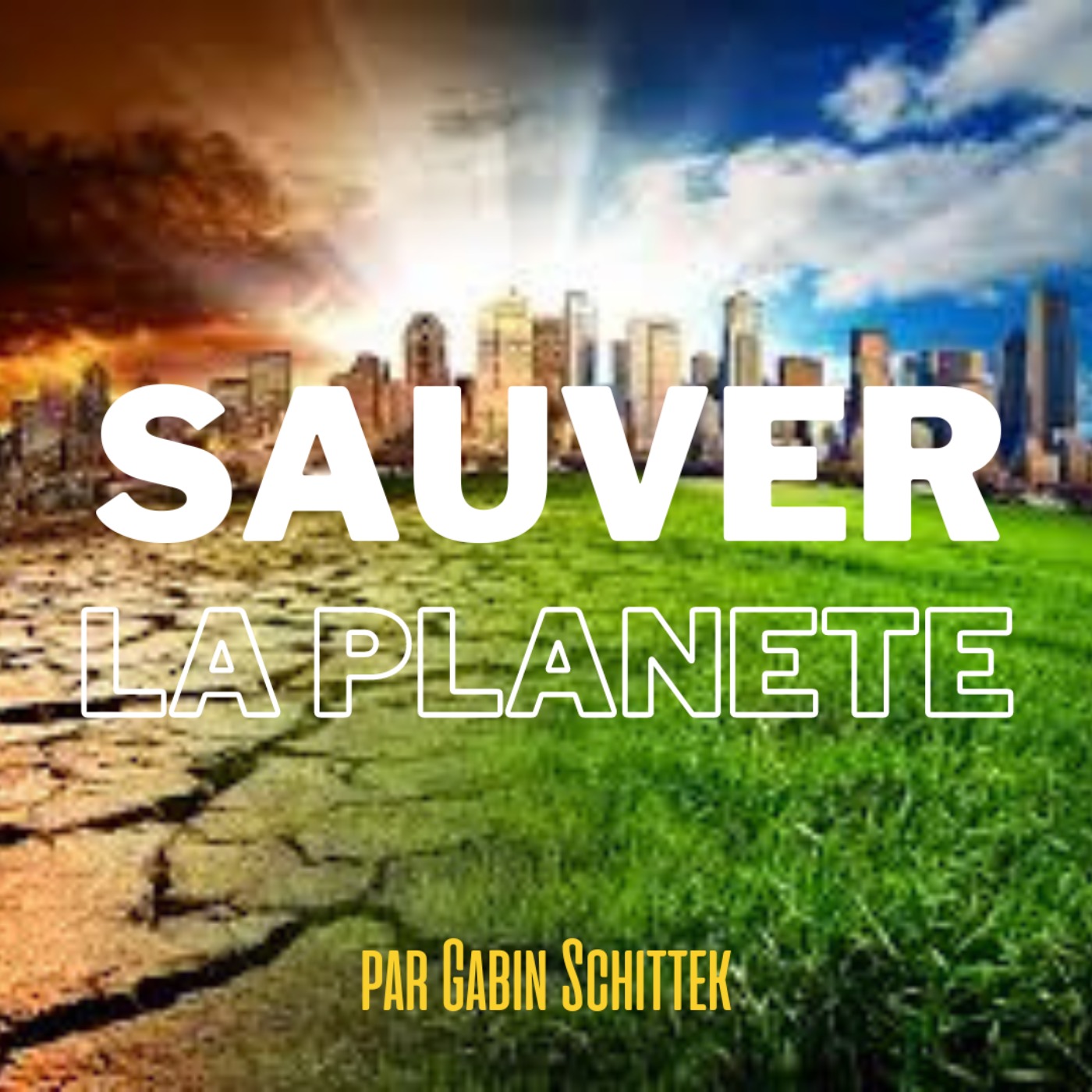 Sauver la planète podcast artwork