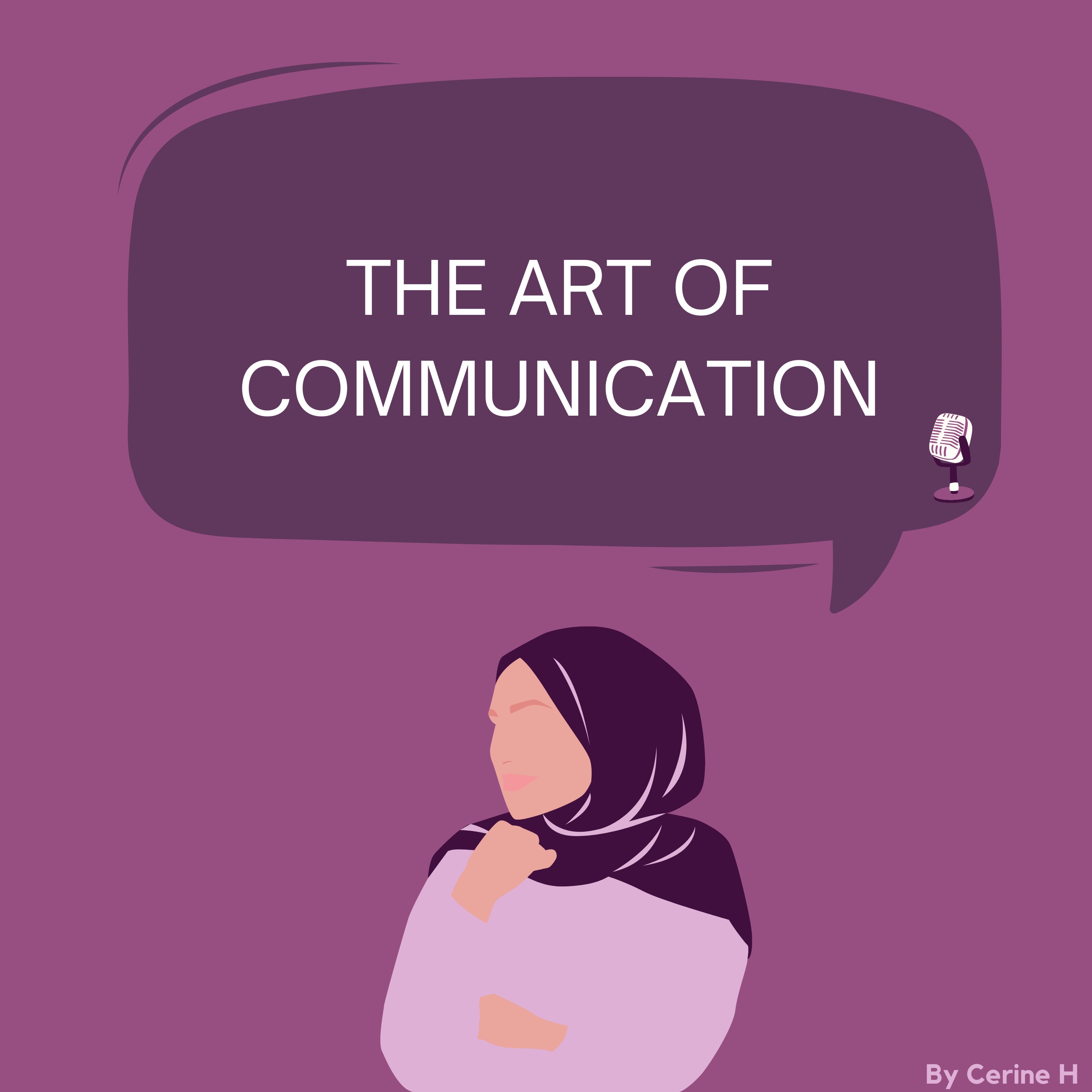 13 : The art of communication episode artwork