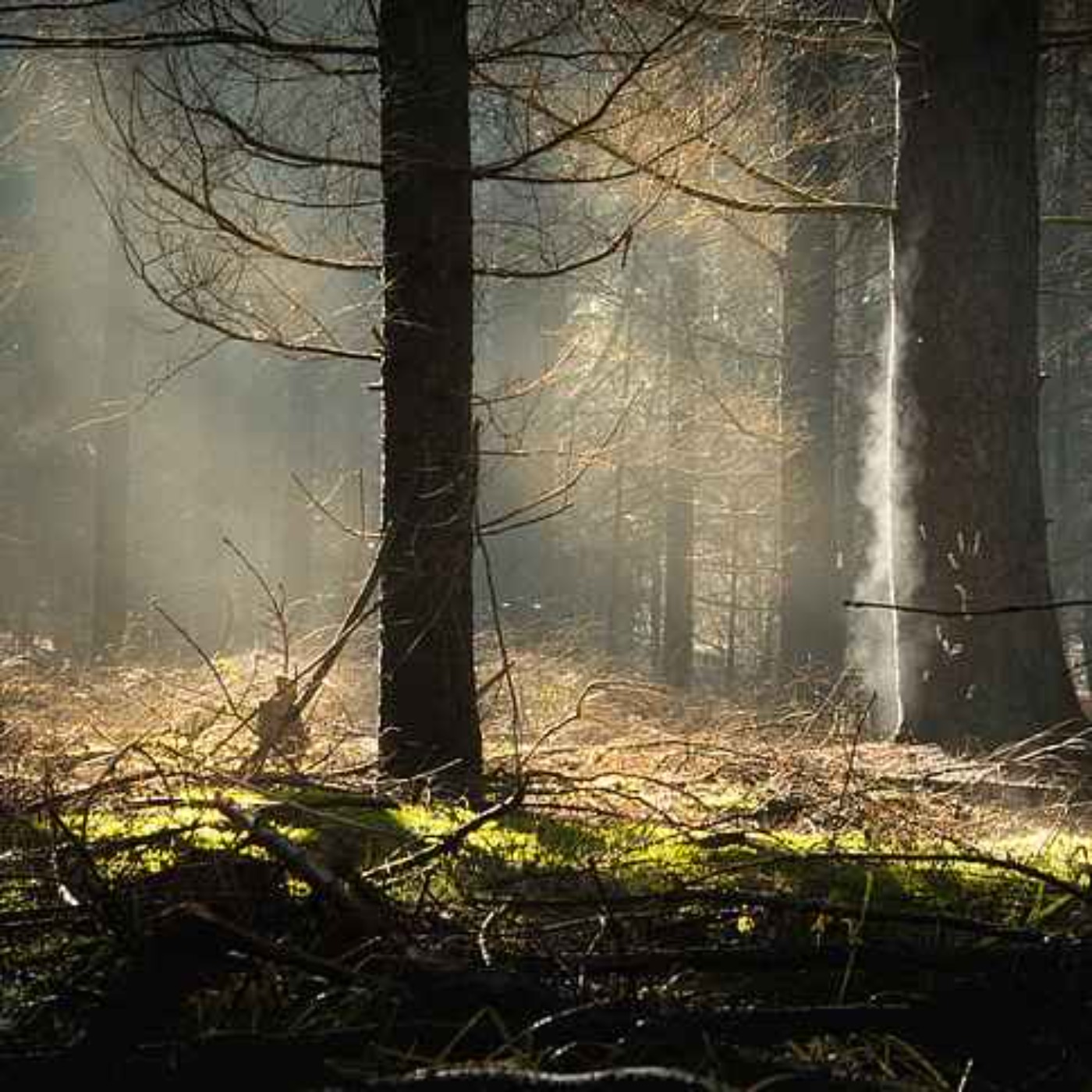 Mystistä