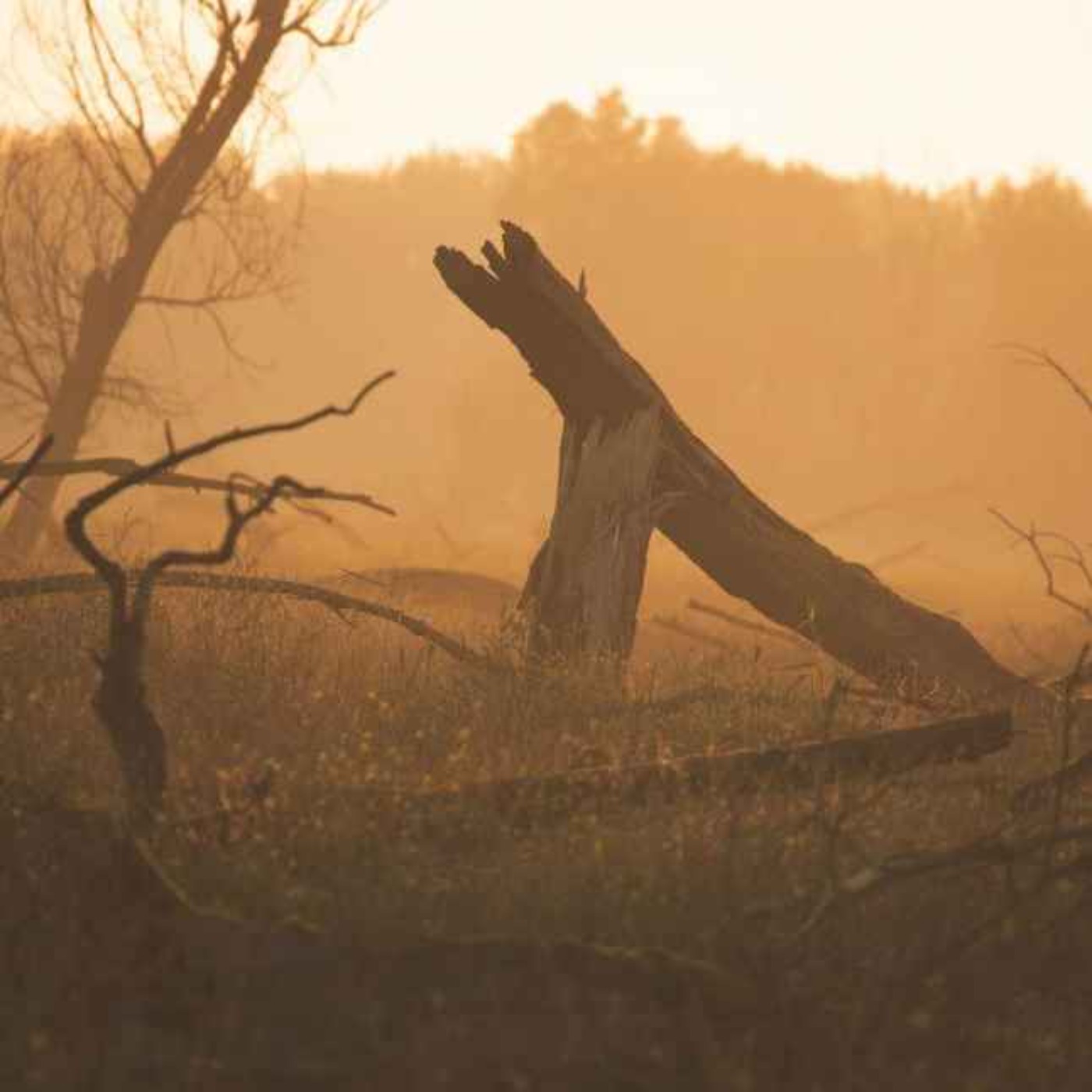 103. Korkeus 611 103. Korkeus 611