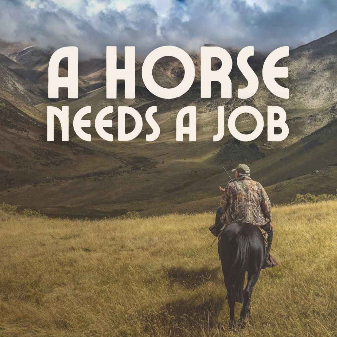 A Horse Needs A Job