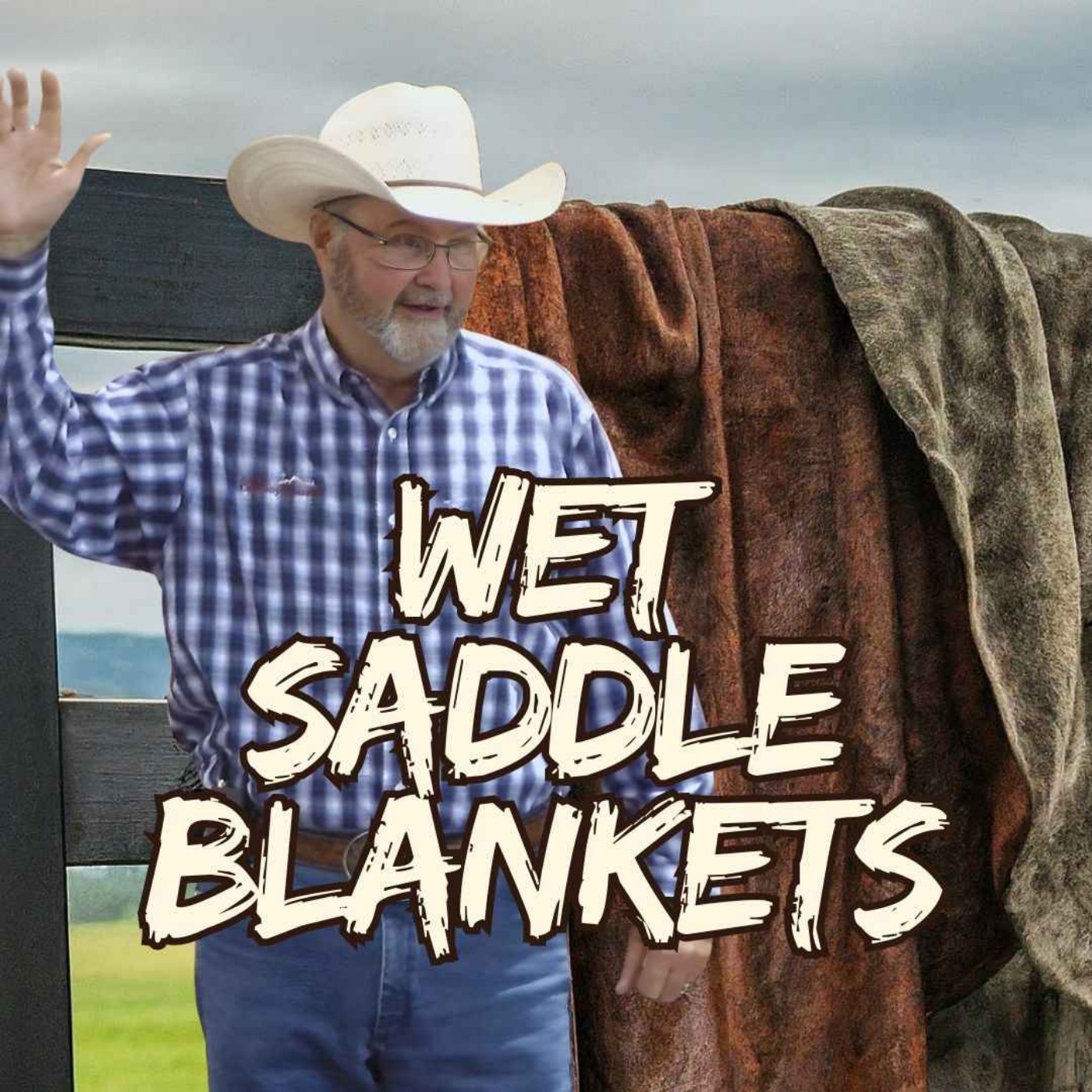 Wet Saddle Blankets