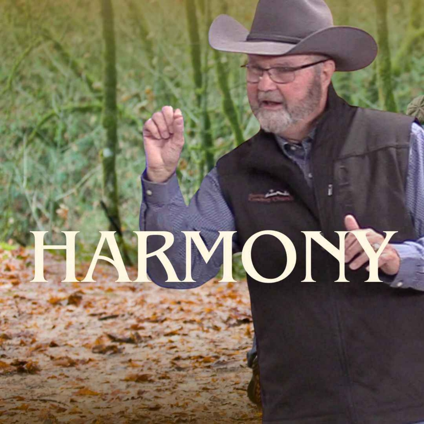 Harmony