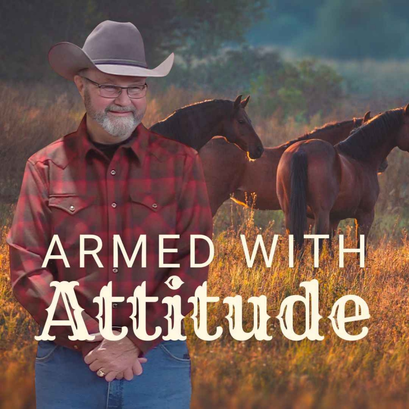 Armed with Attitude