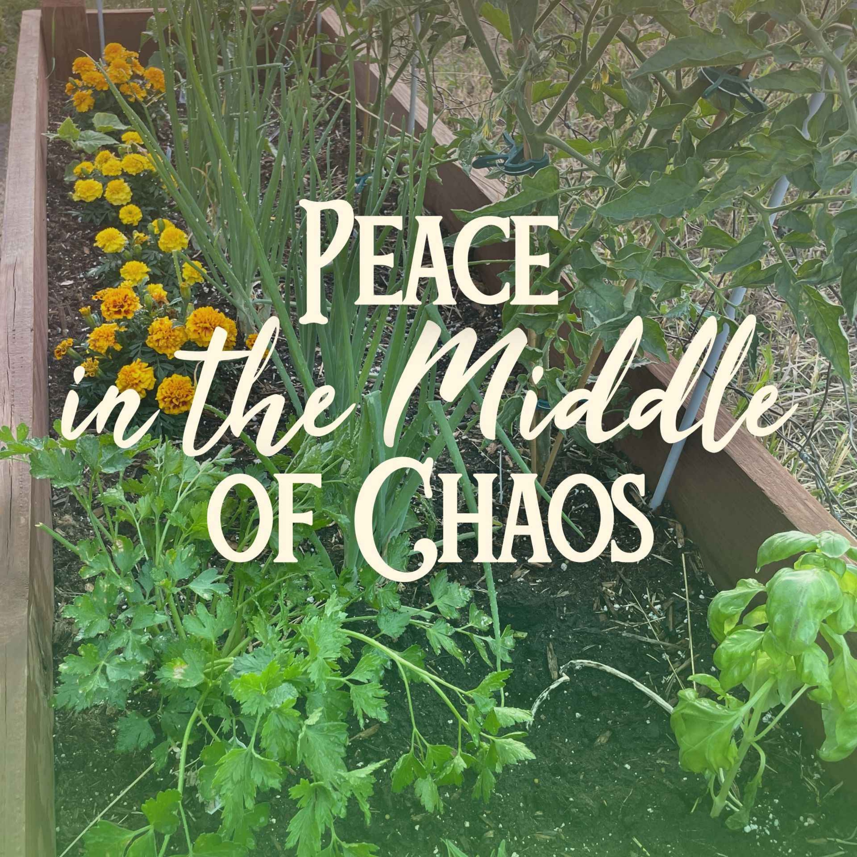 Peace in the Middle of Chaos